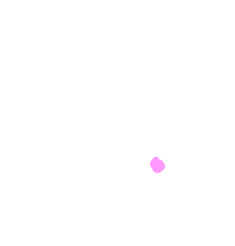 Inferior Genial Tubercle