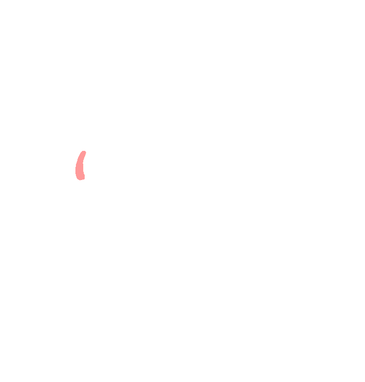 Mandibular Foramen