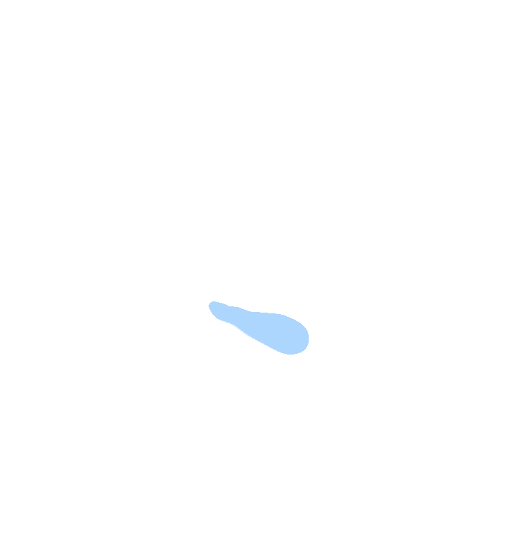 Sublingual Fossa
