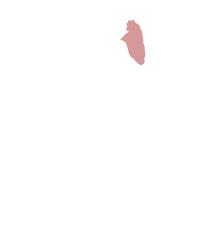 Coronoid Process