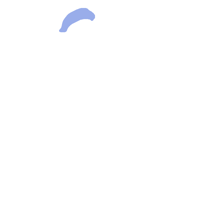 Head