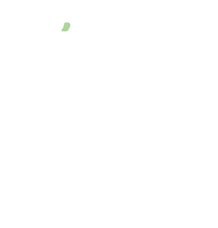 Medial Pole
