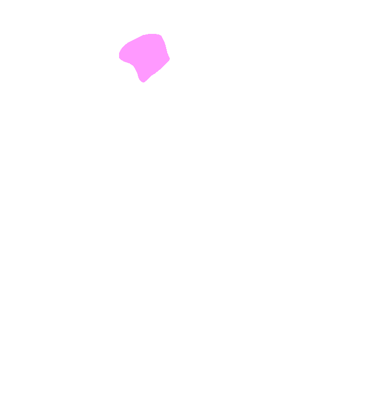 Neck