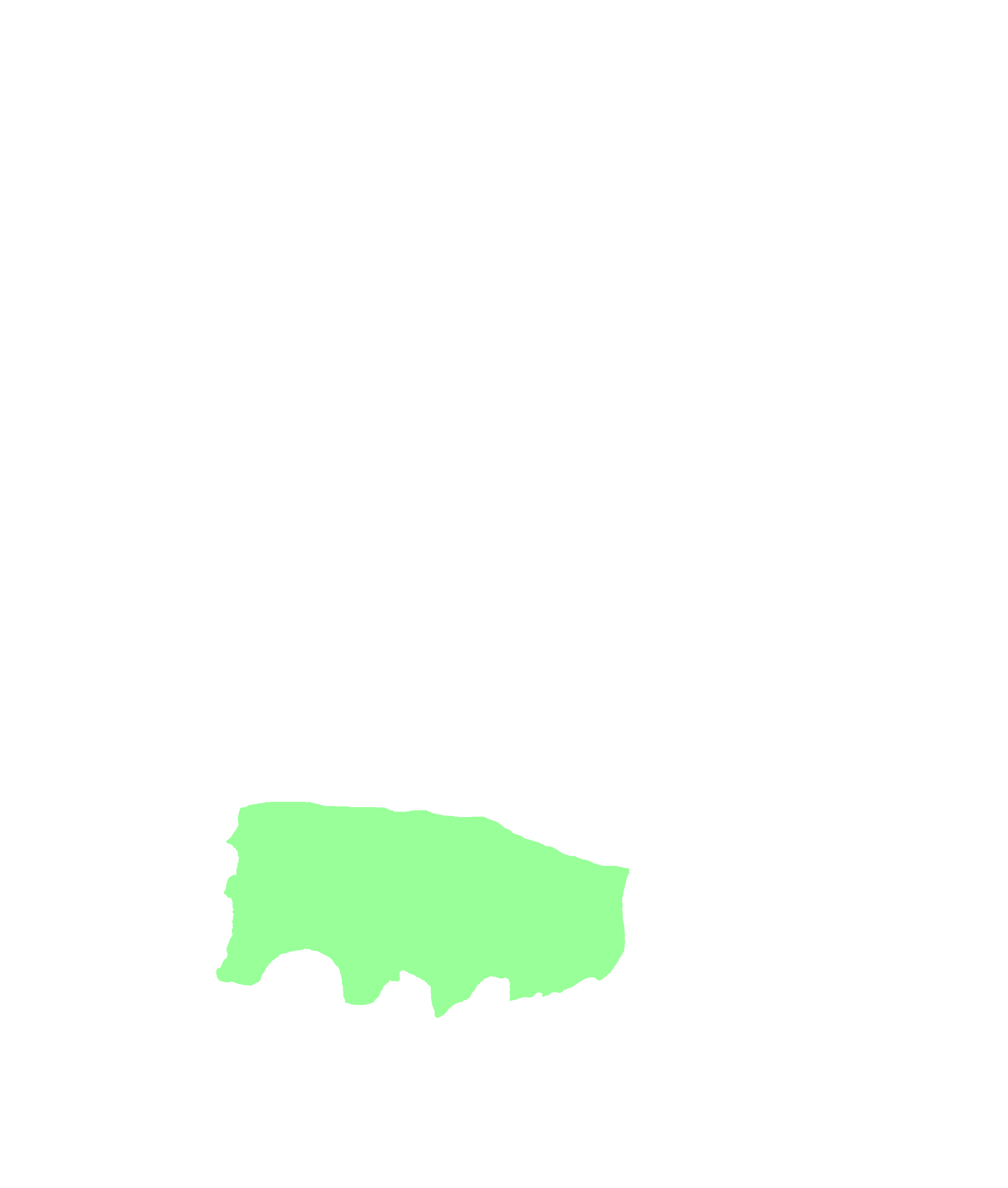 Alveolar process