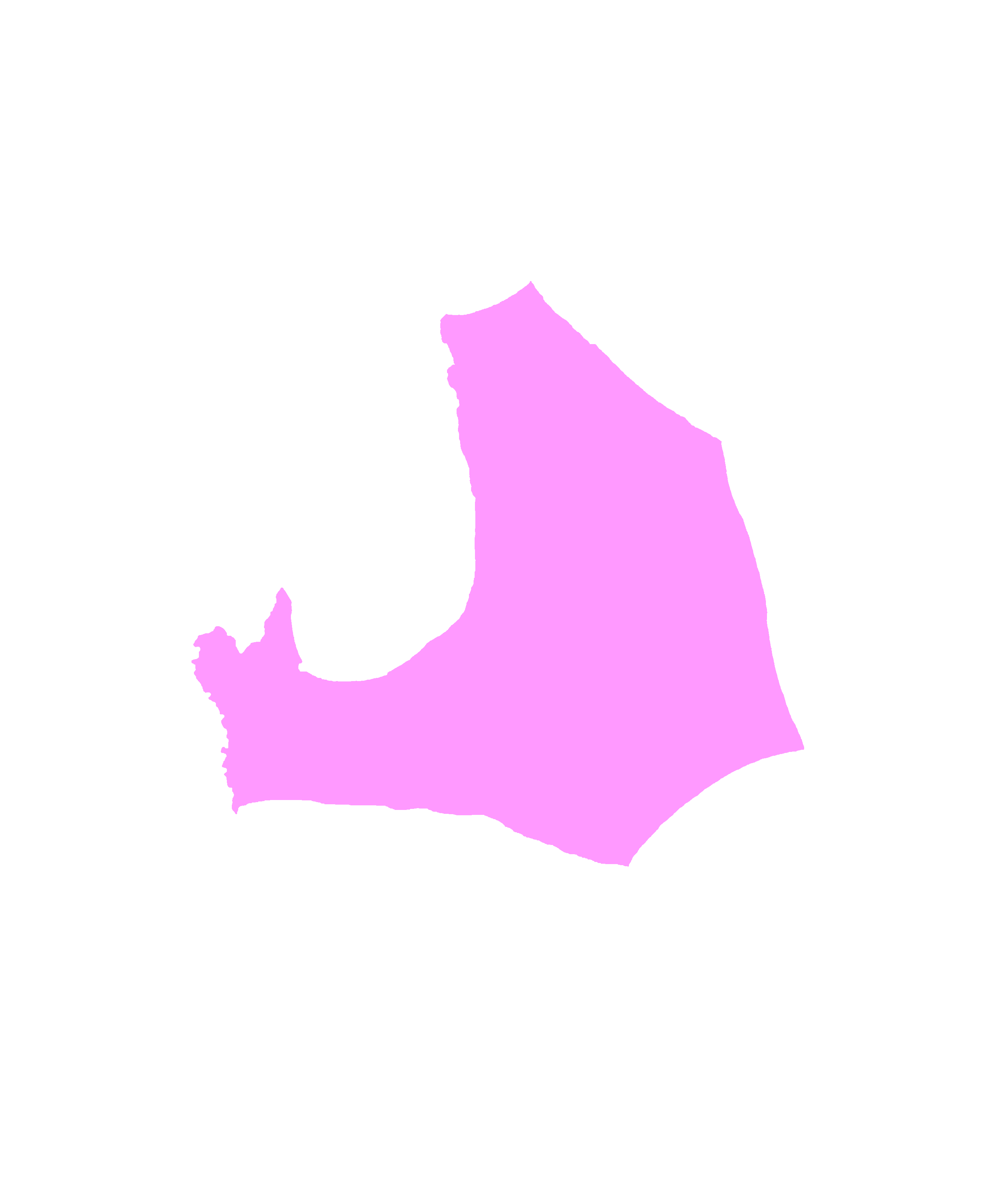 Anterior surface