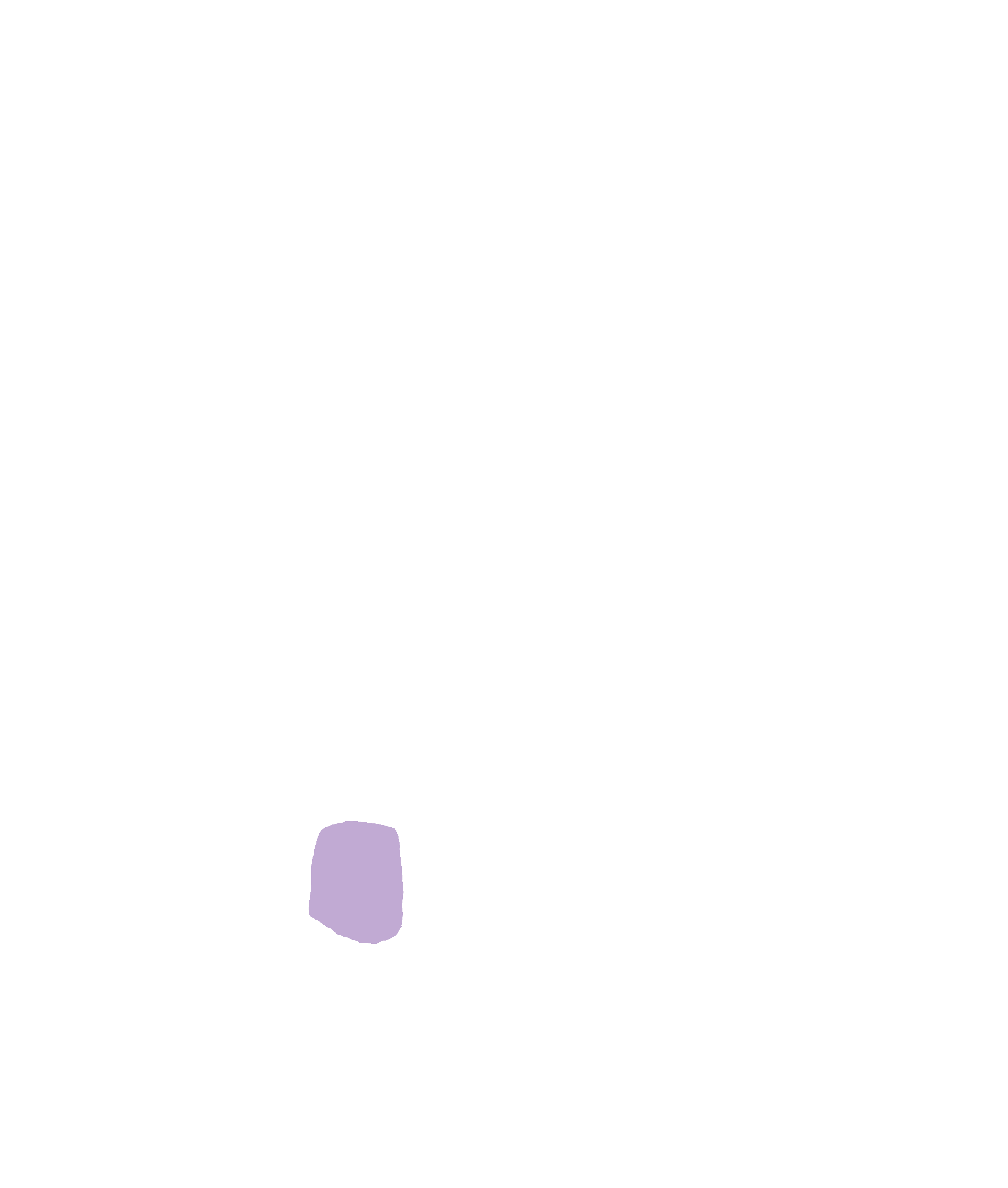 Incisive fossa