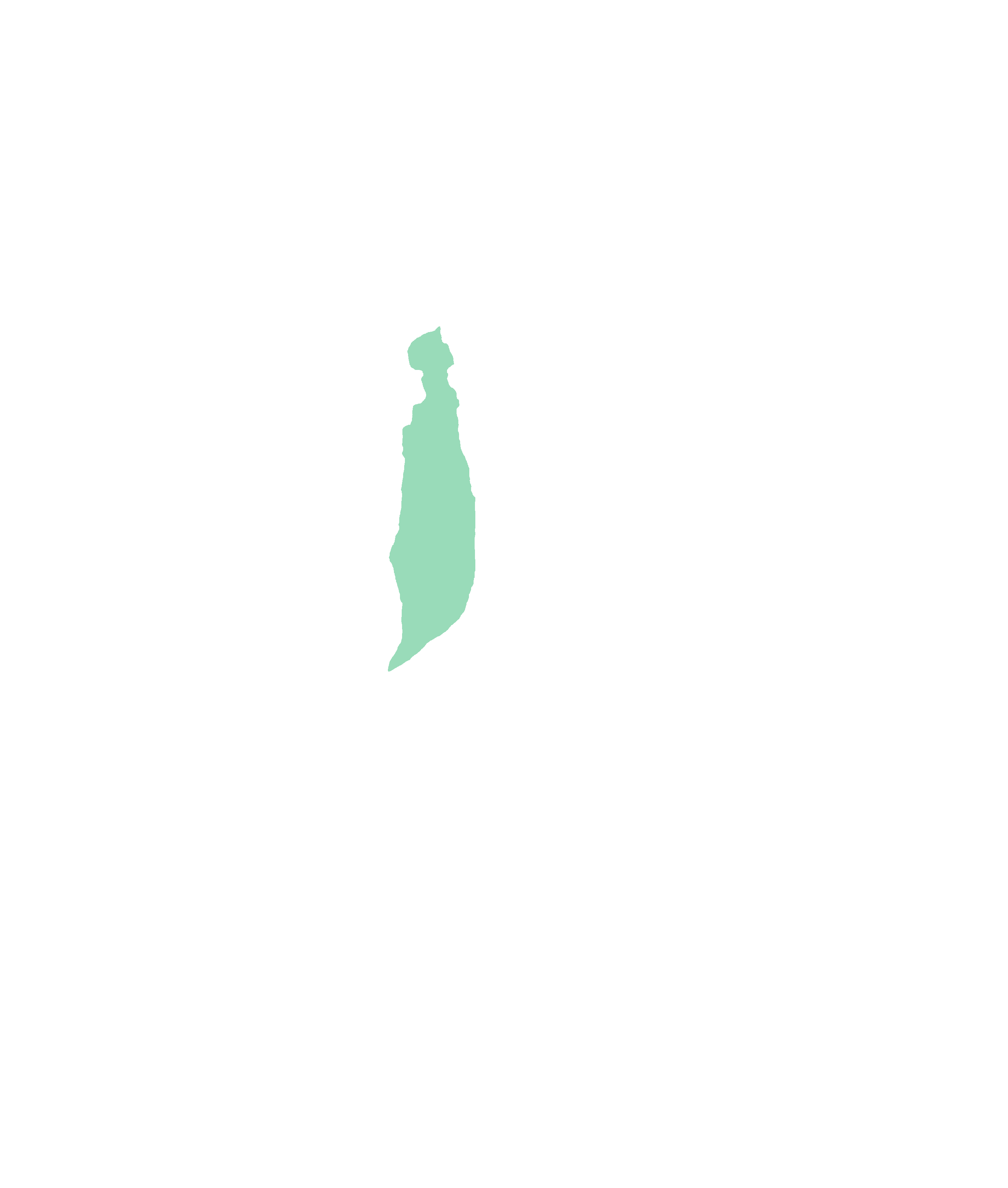 Nasal surface