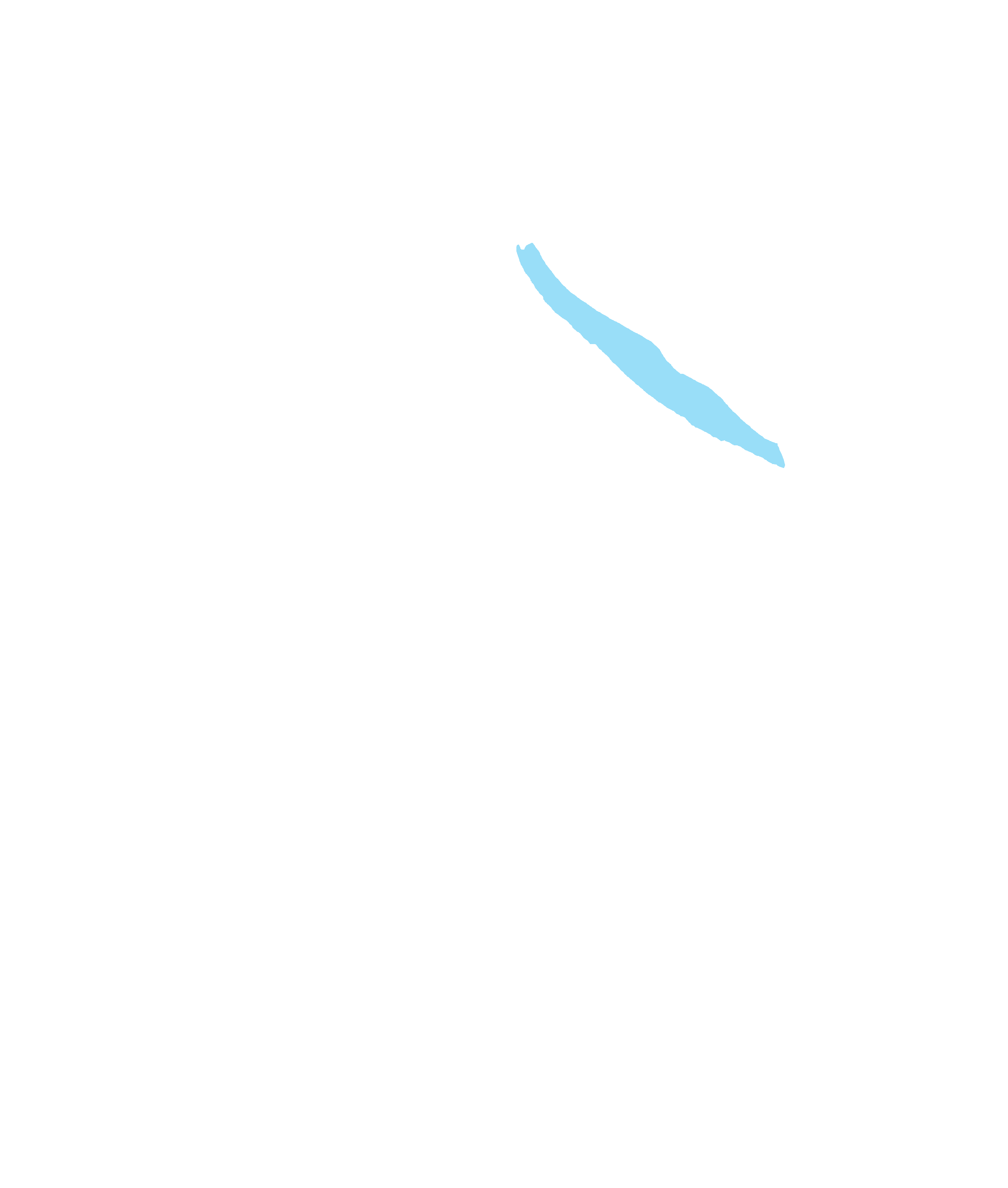 Orbital surface