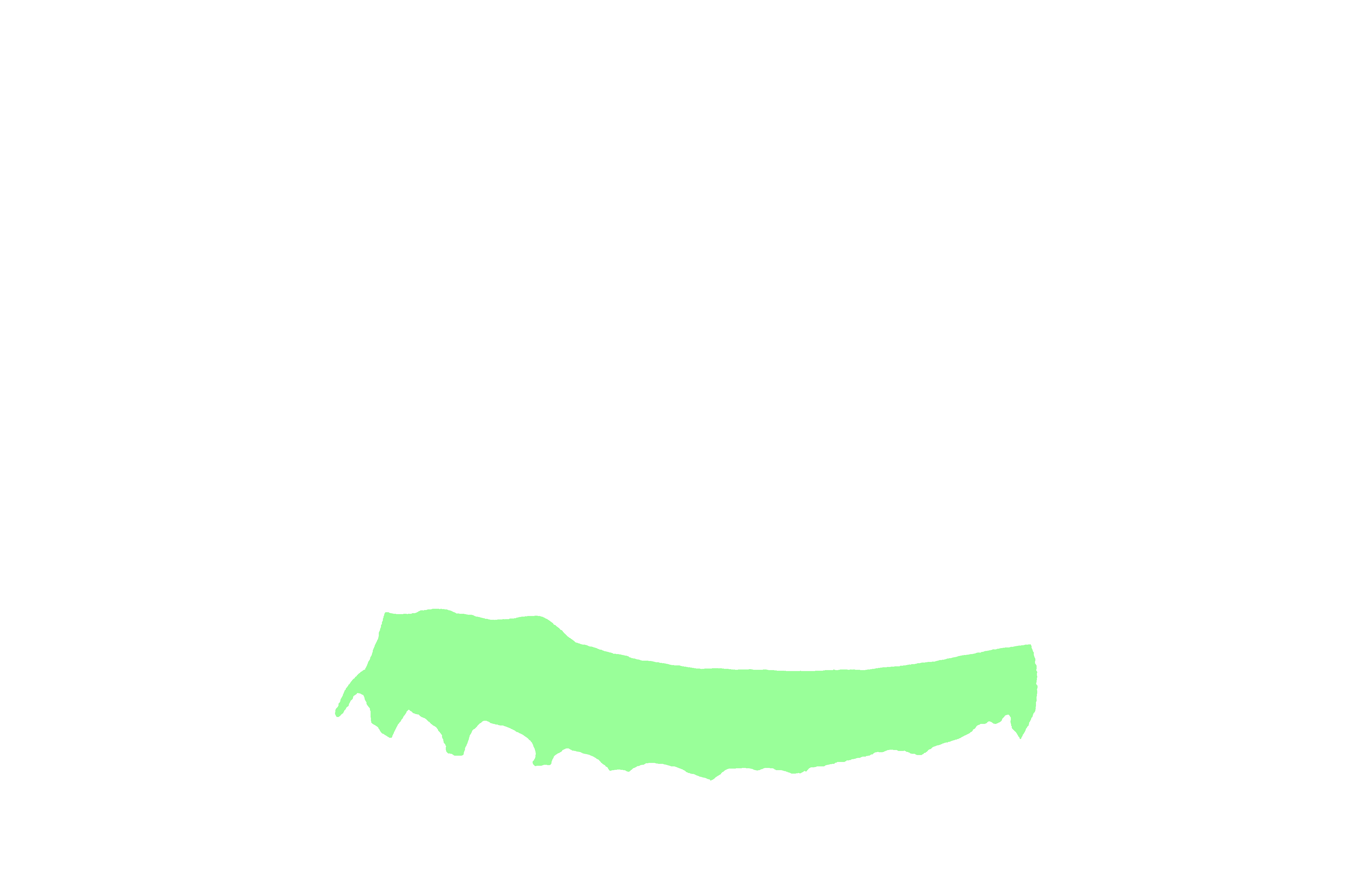 Alveolar process