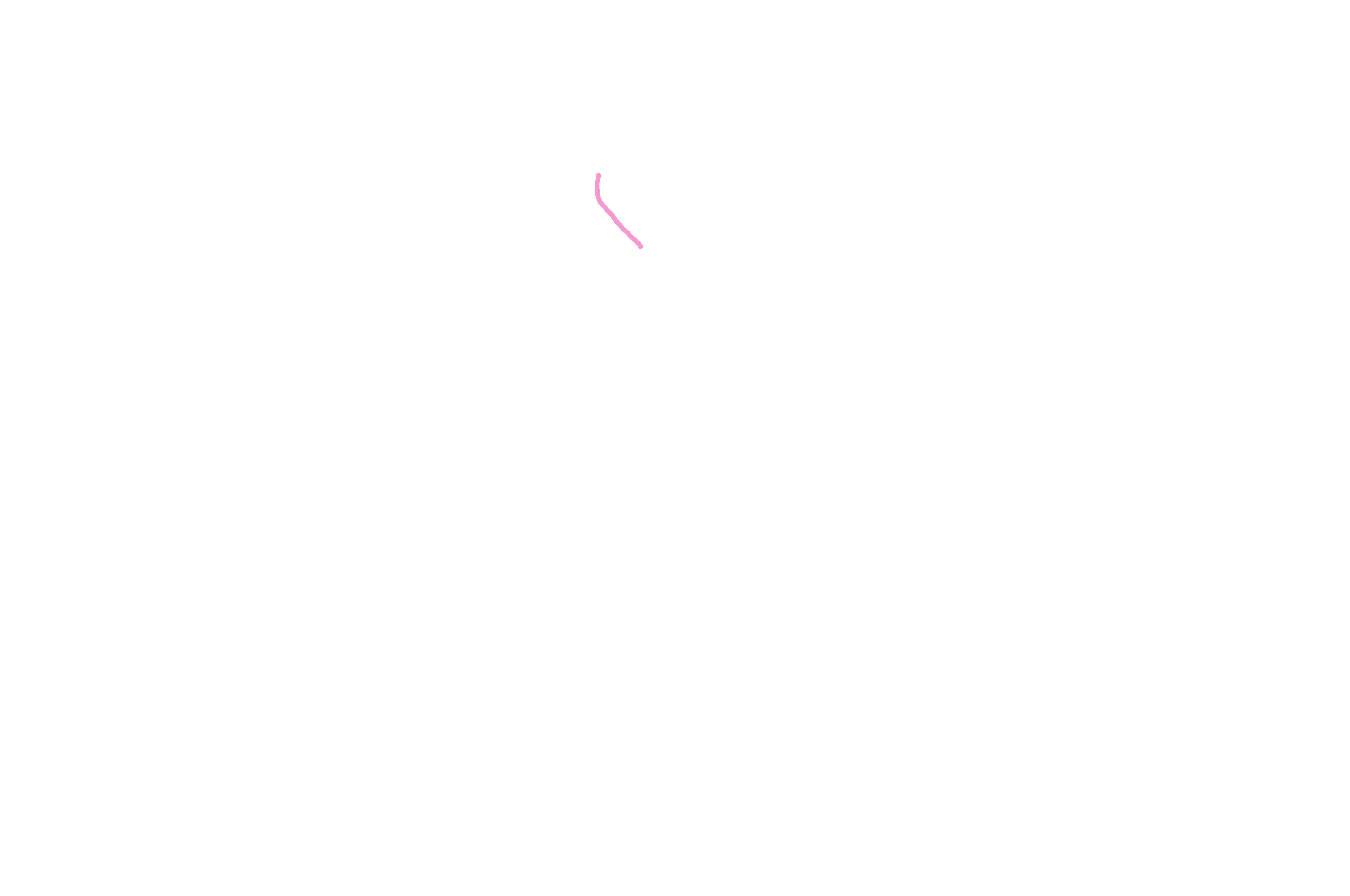 Anterior lacrimal crest
