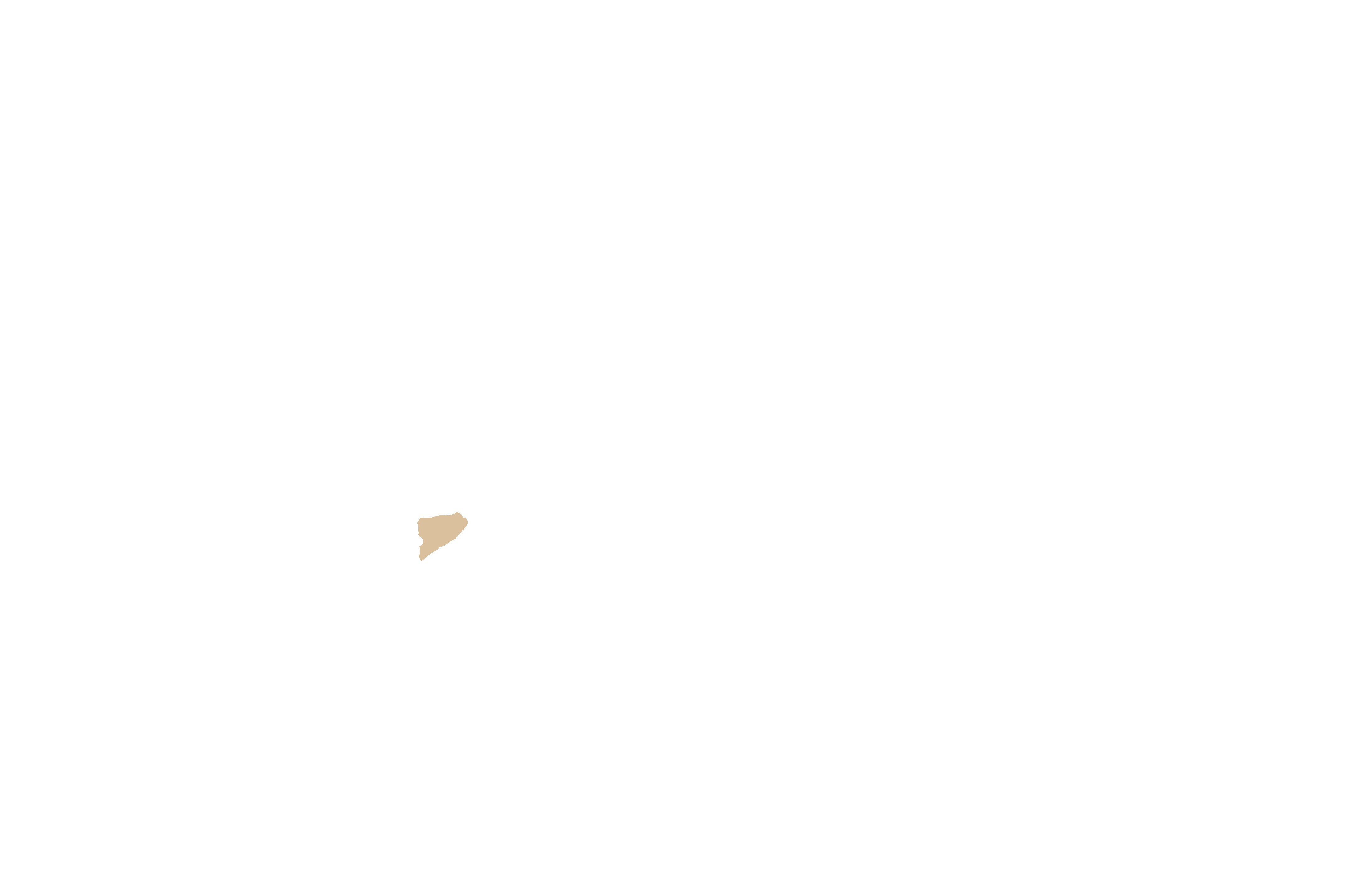 Anterior nasal spine