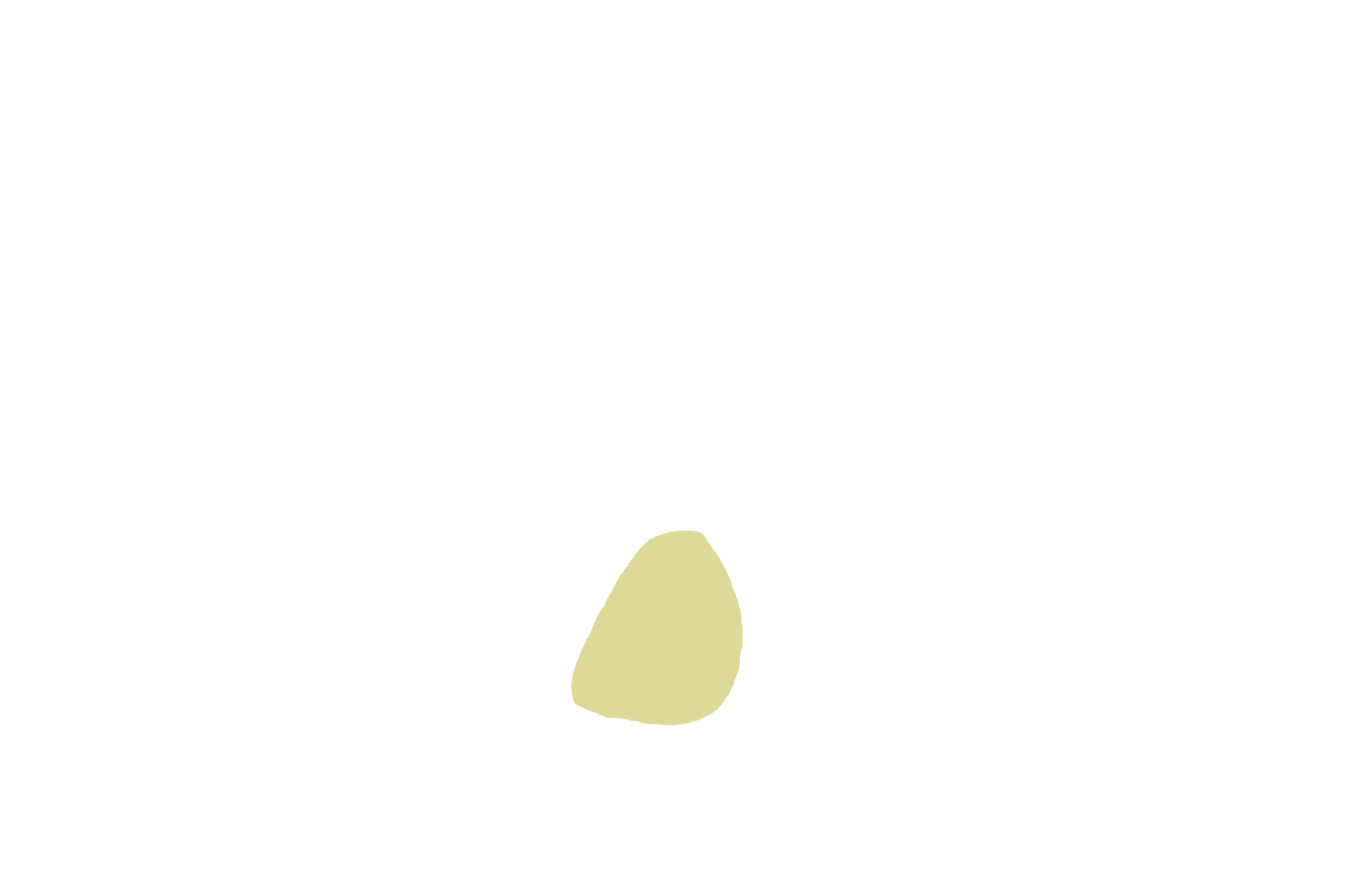 Canine fossa