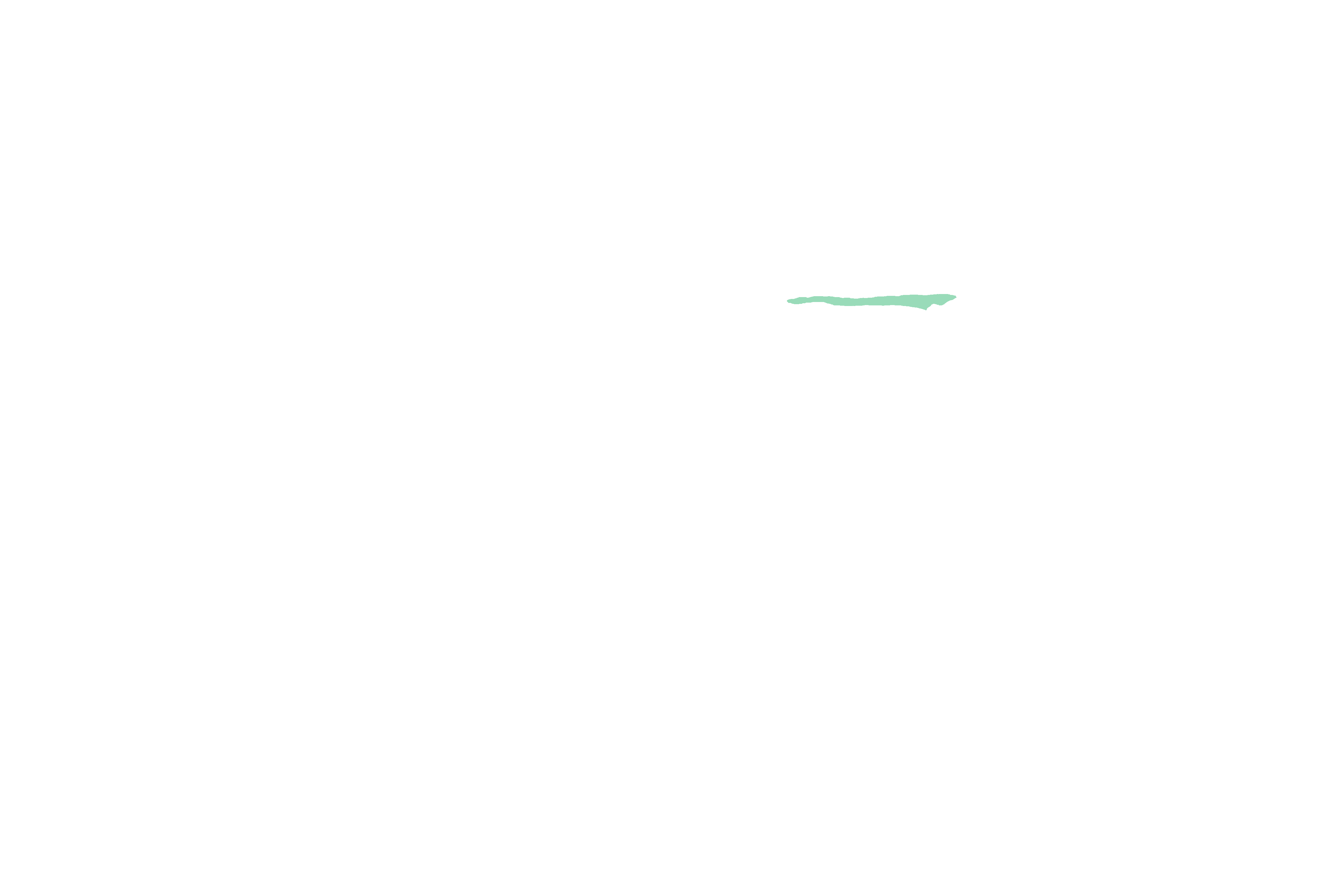 Infraorbital groove