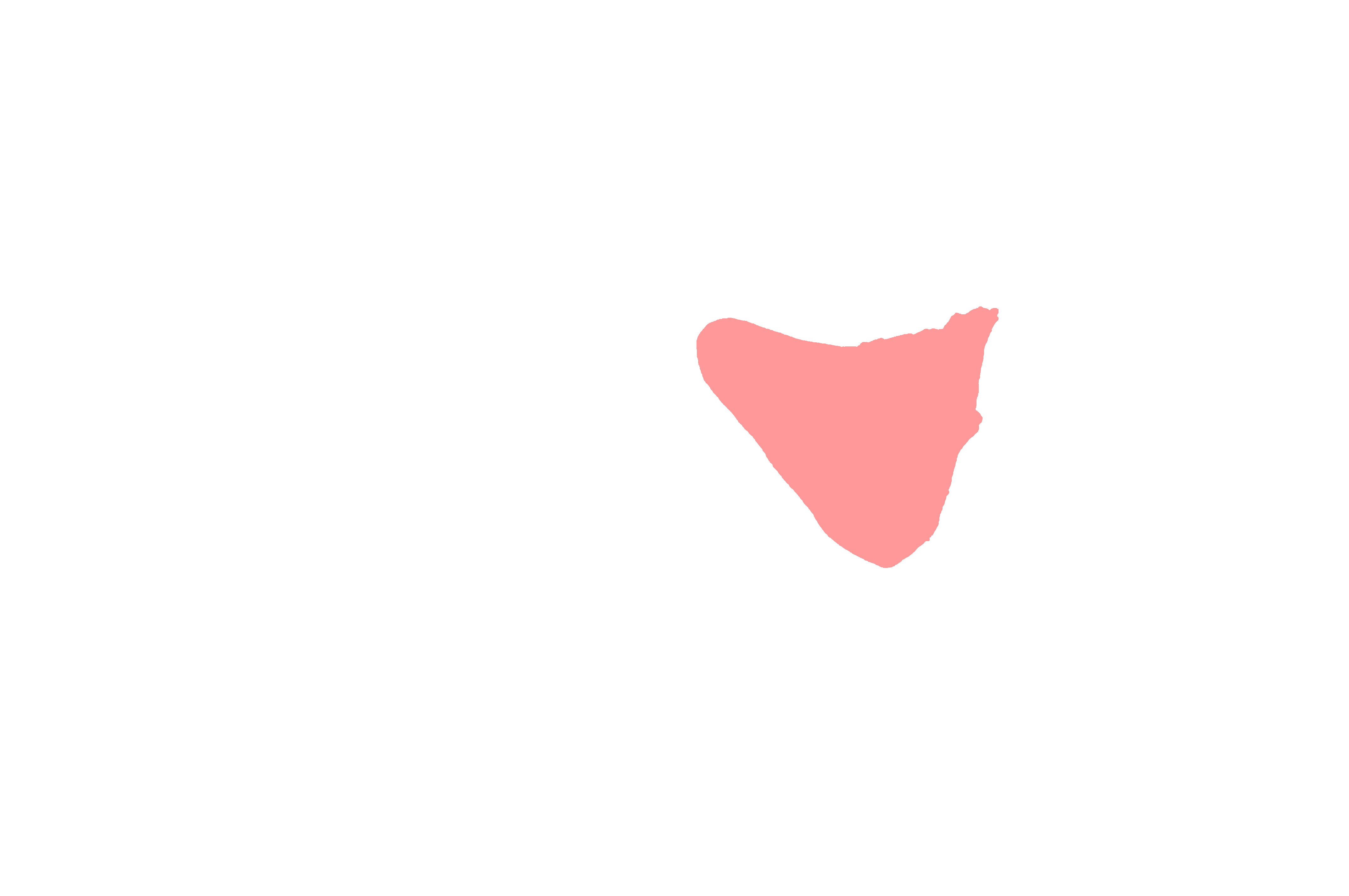 Zygomatic process