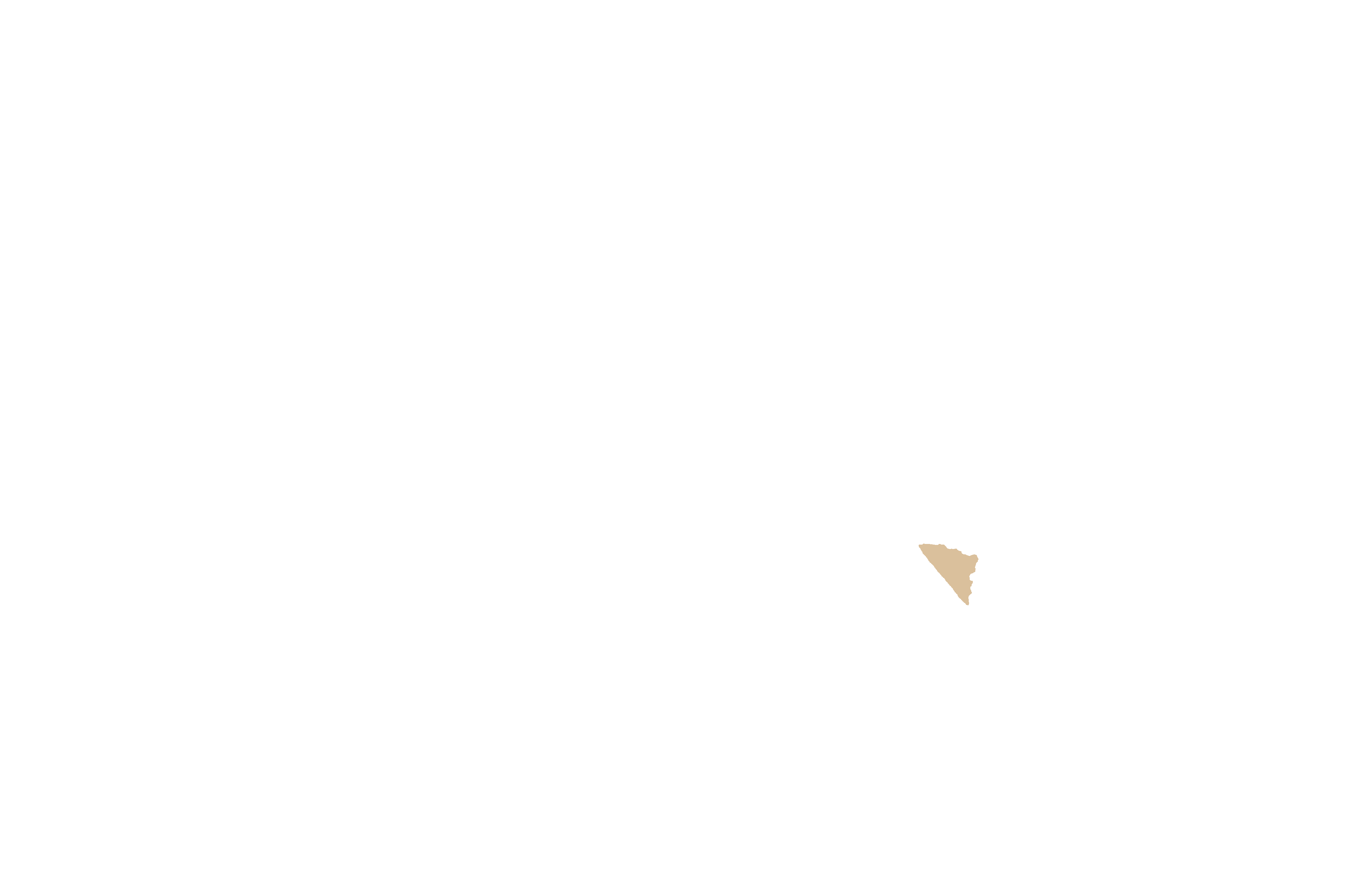 Anterior nasal spine