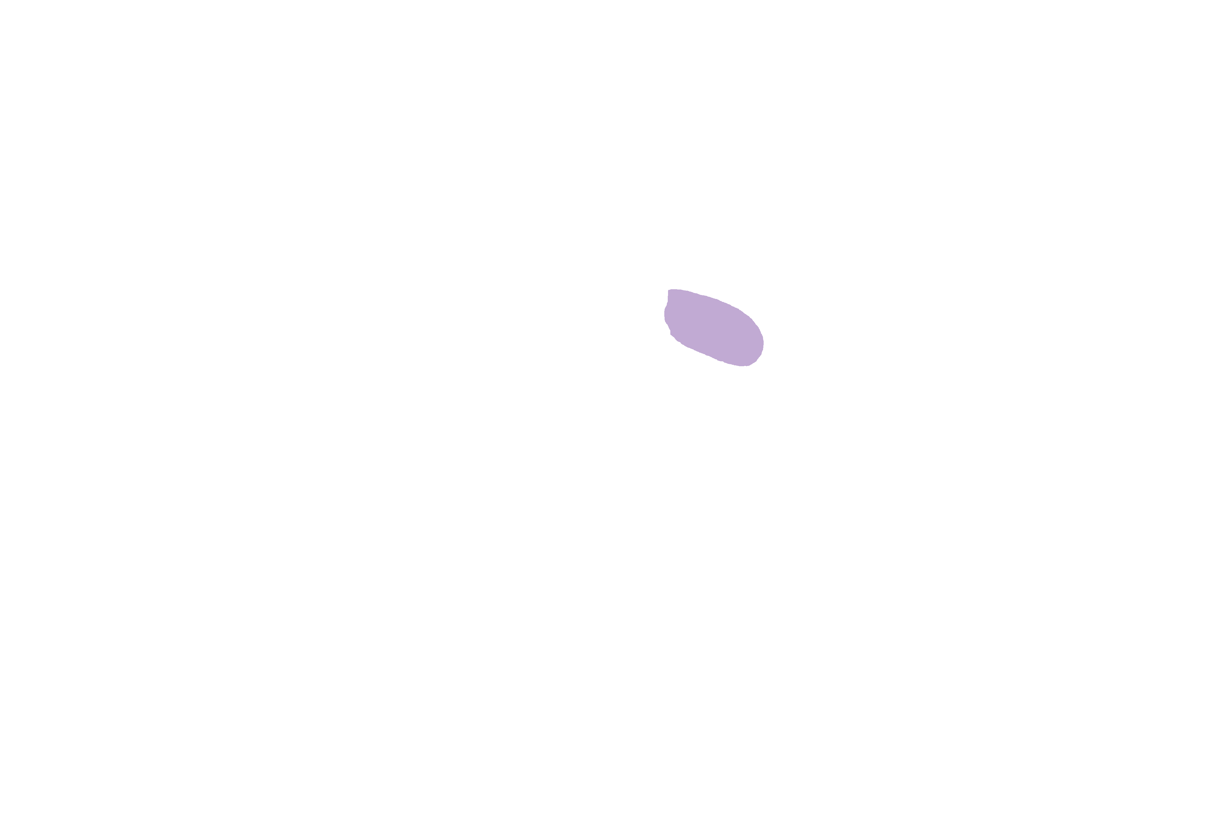 Conchal crest