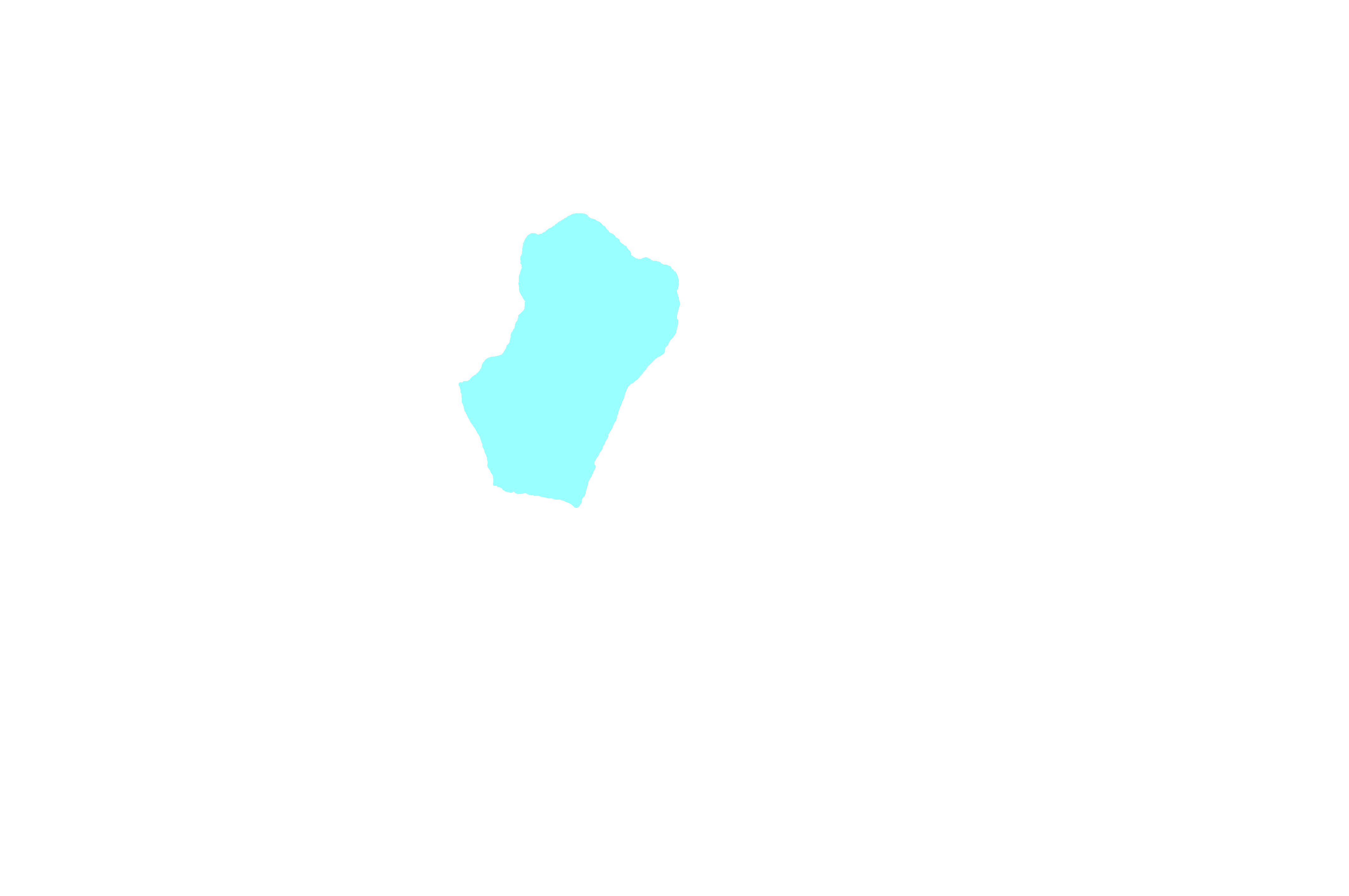 Maxillary process