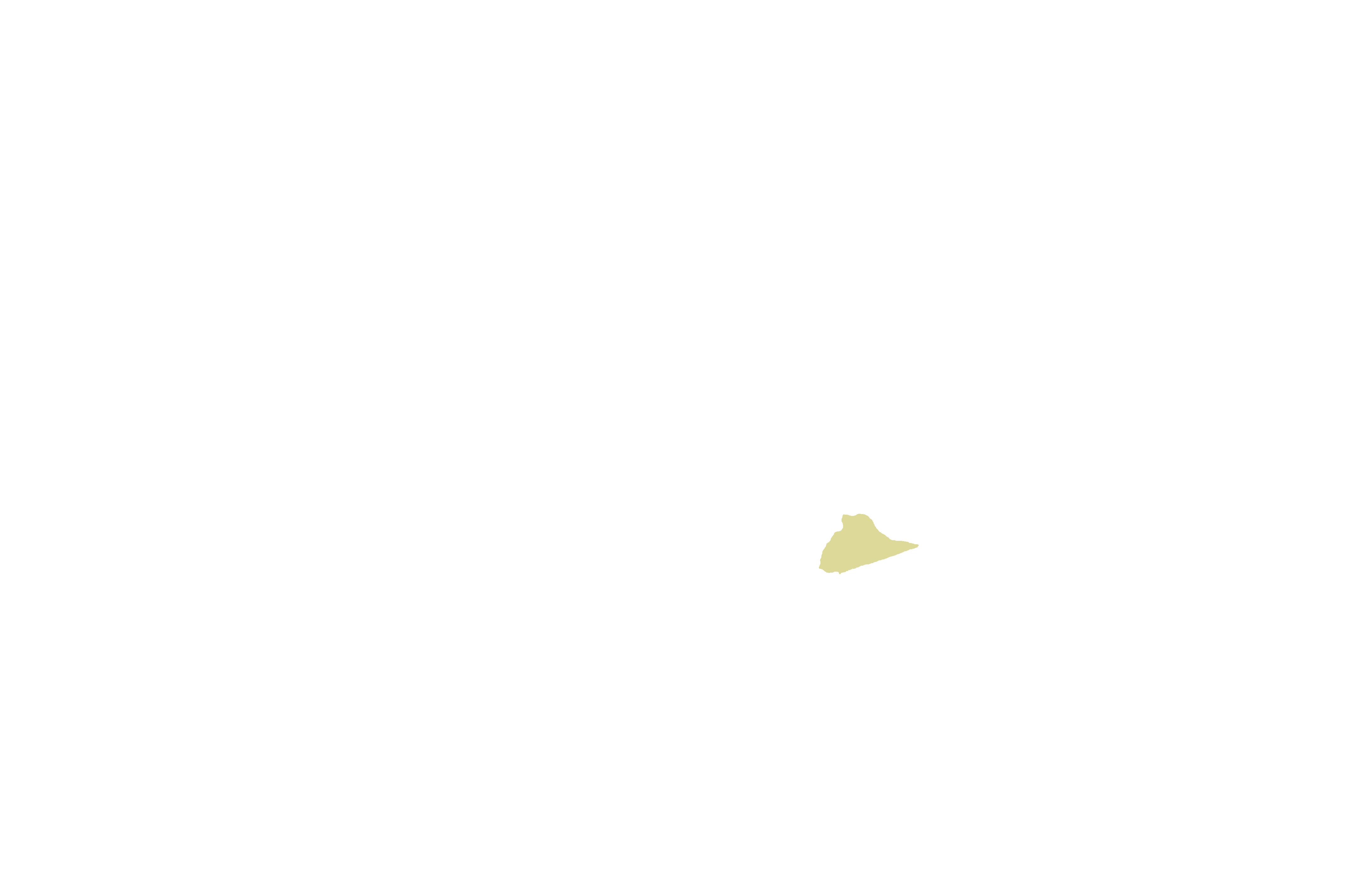 Nasal crest