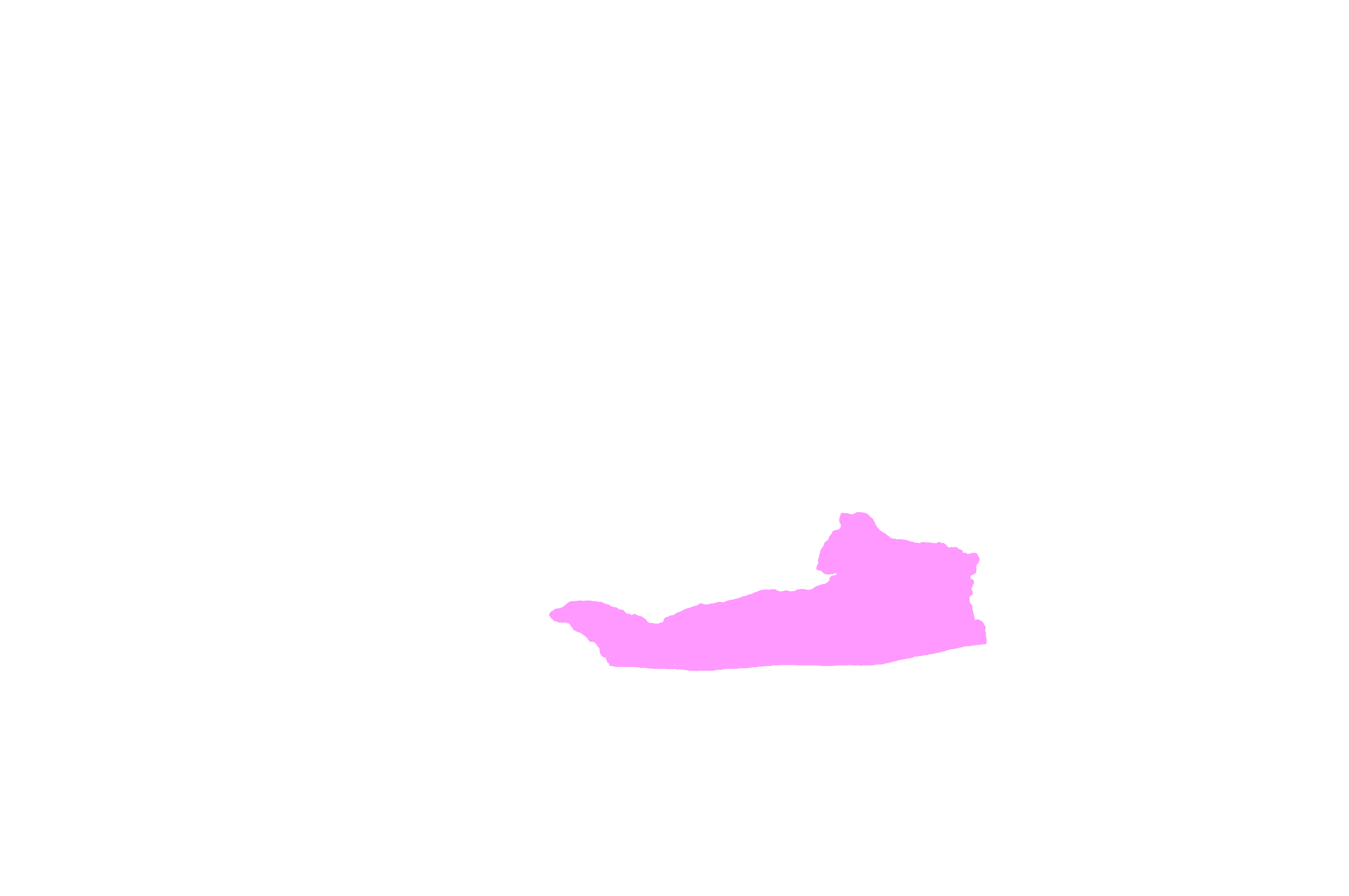 Palatine process