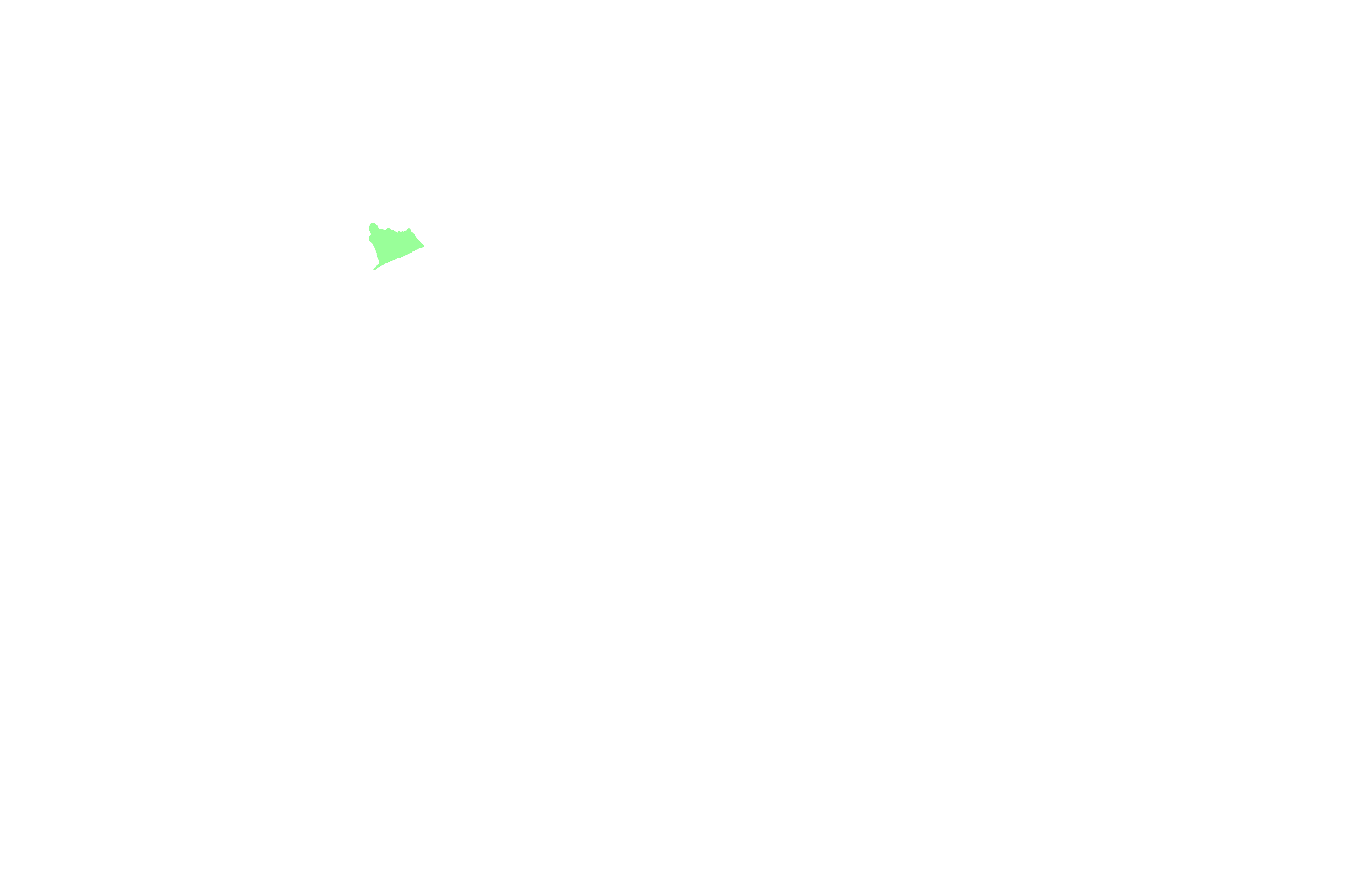 Zygomatic process