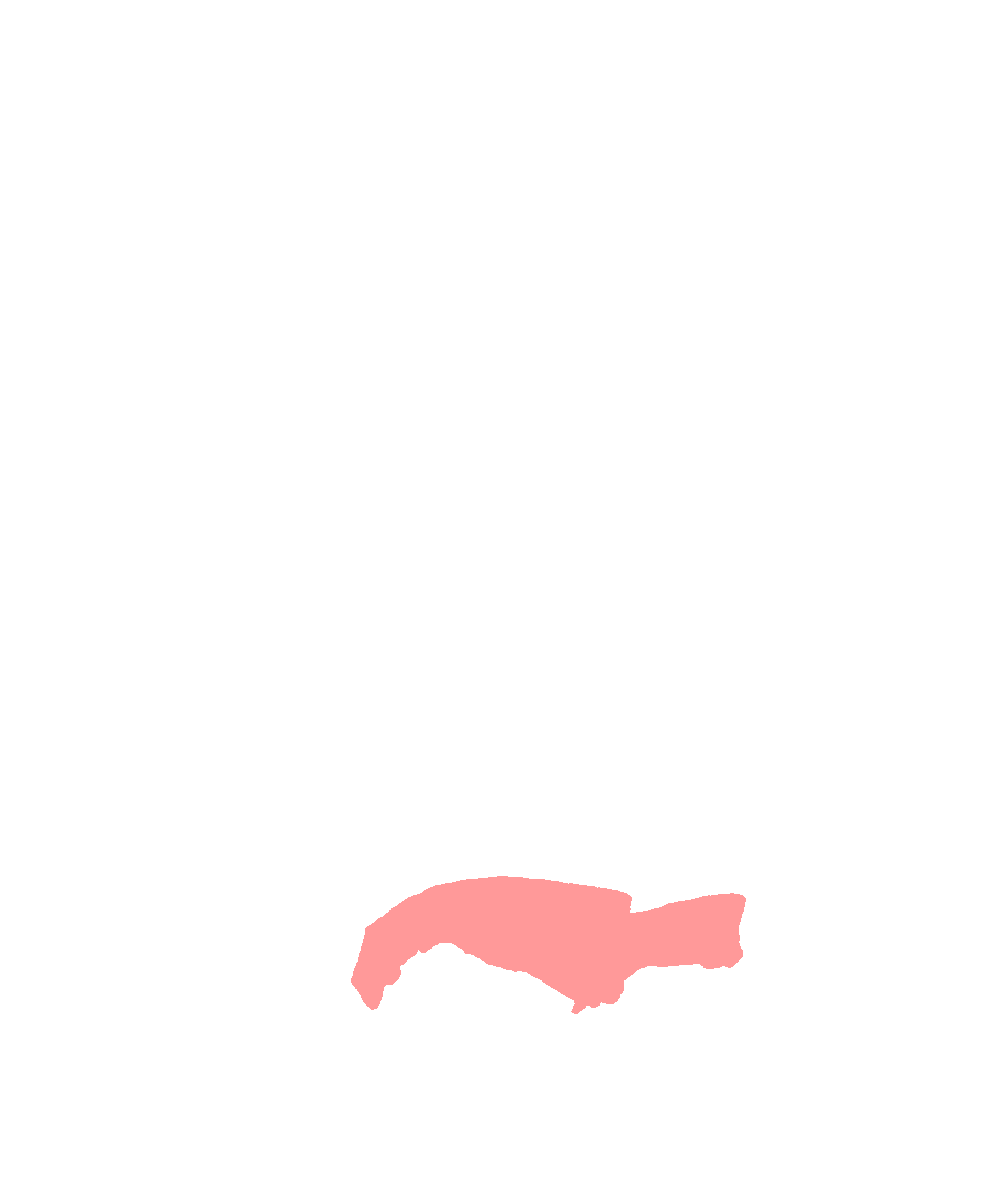 Alveolar process