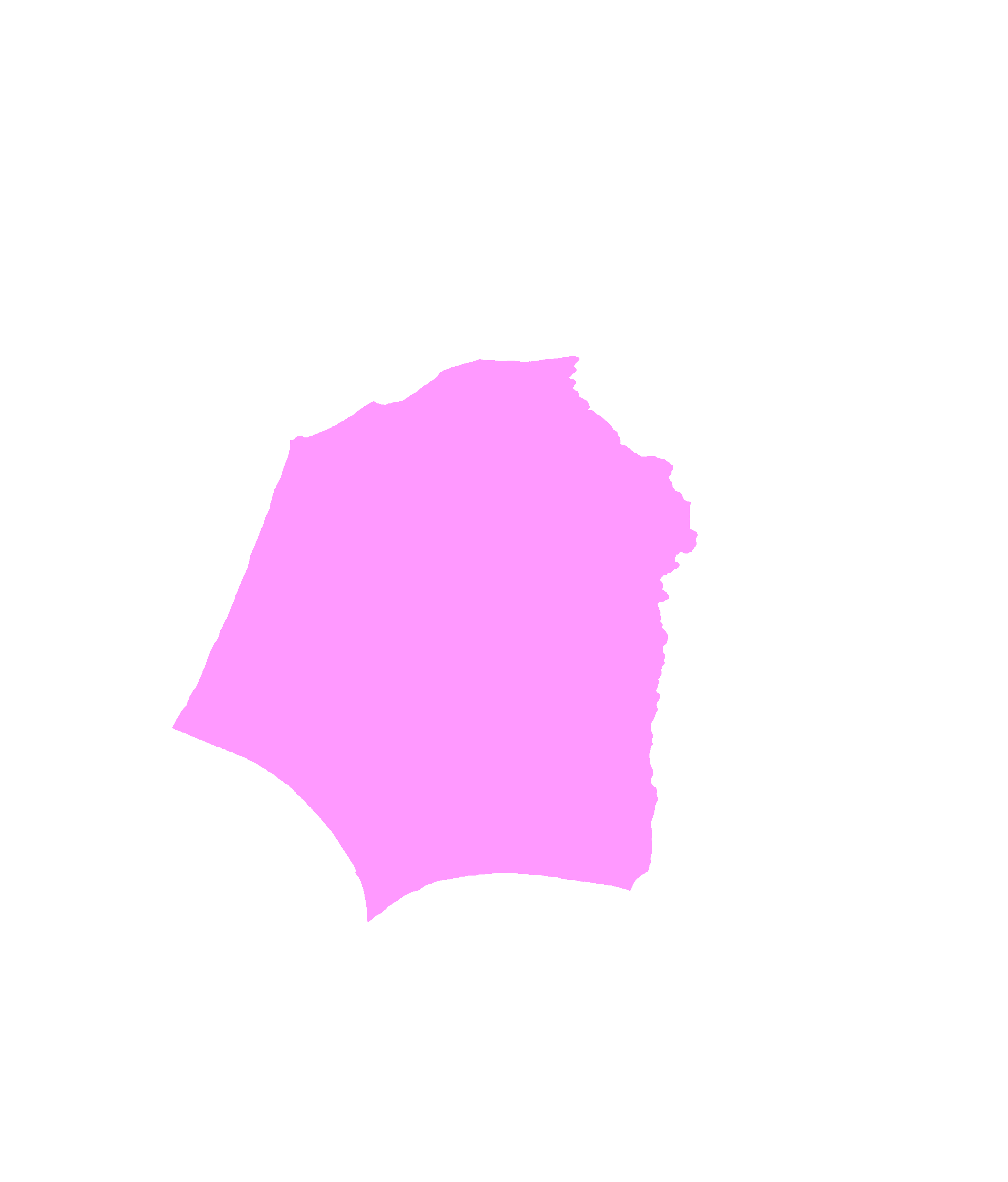 Infratemporal surface