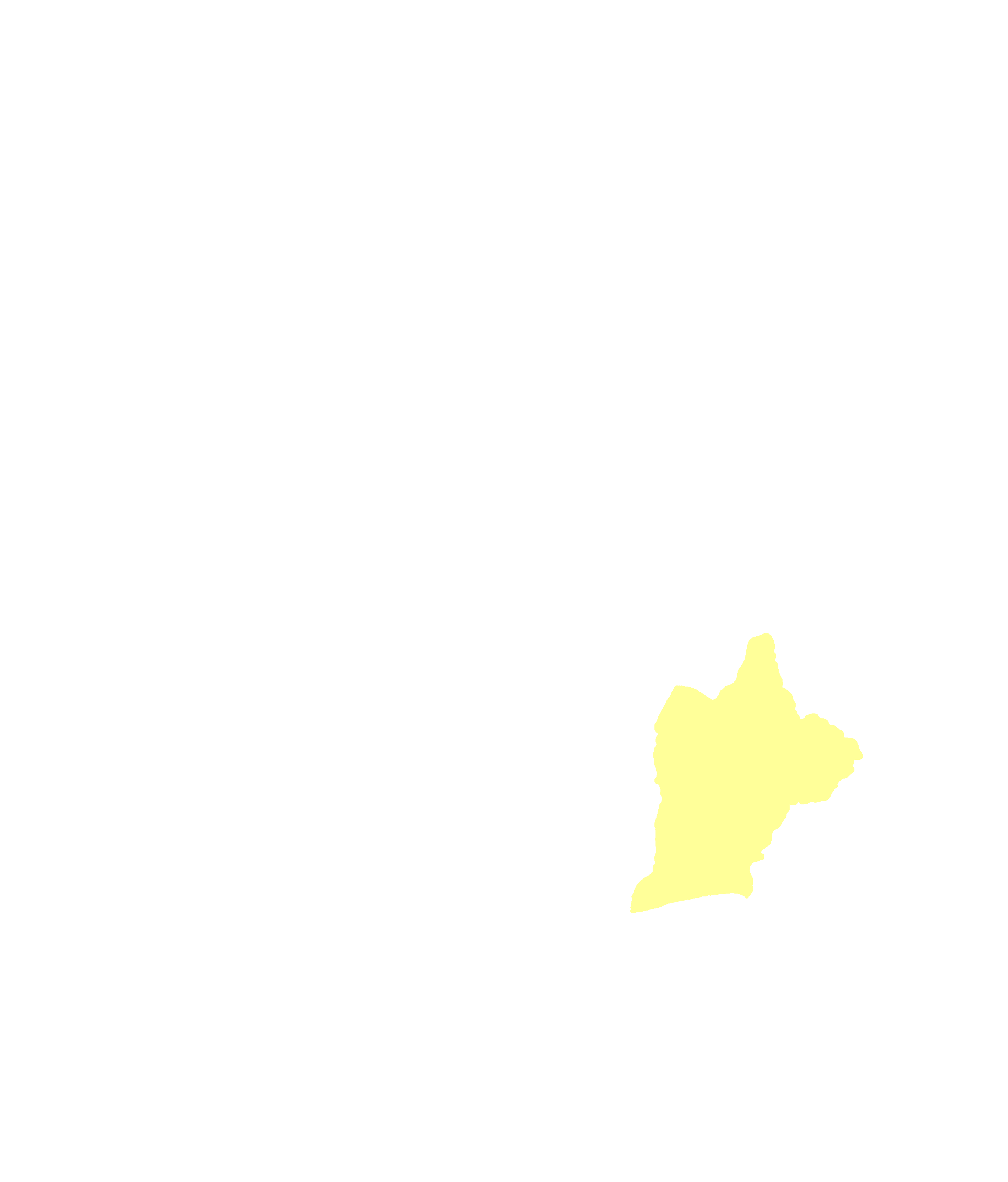 Palatine process