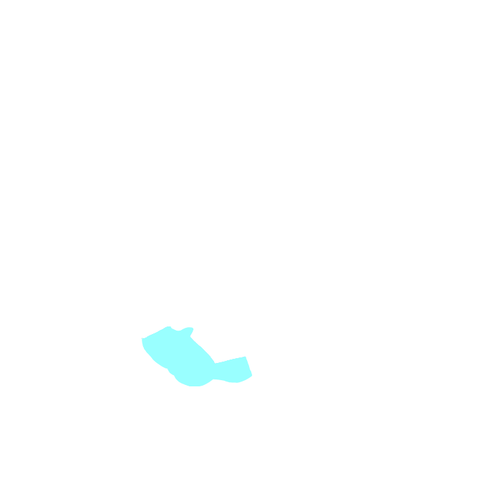 Temporal lobe