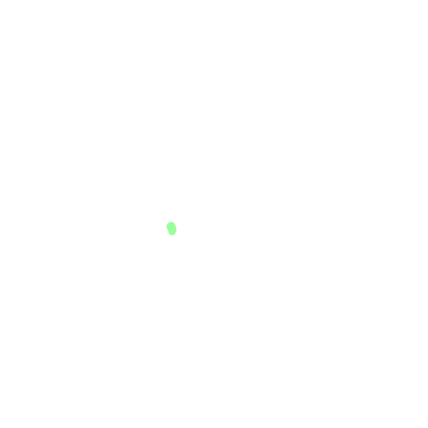 Anterior commisure