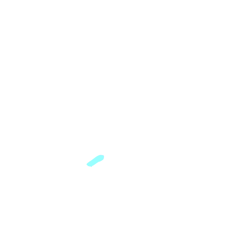 Optic nerve and chiasm