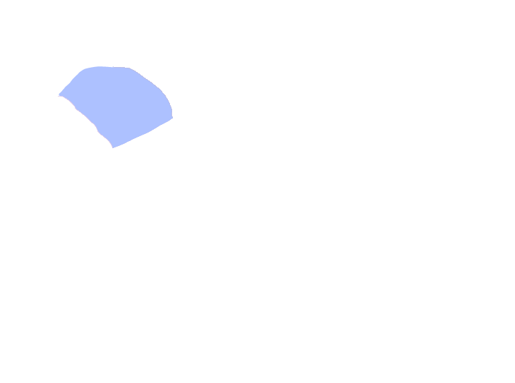 Midbrain tegmentum