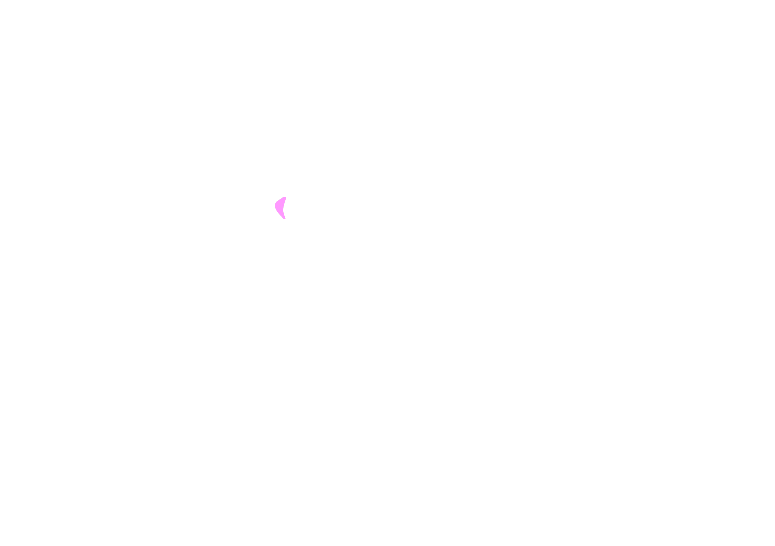 Interventricular foramen