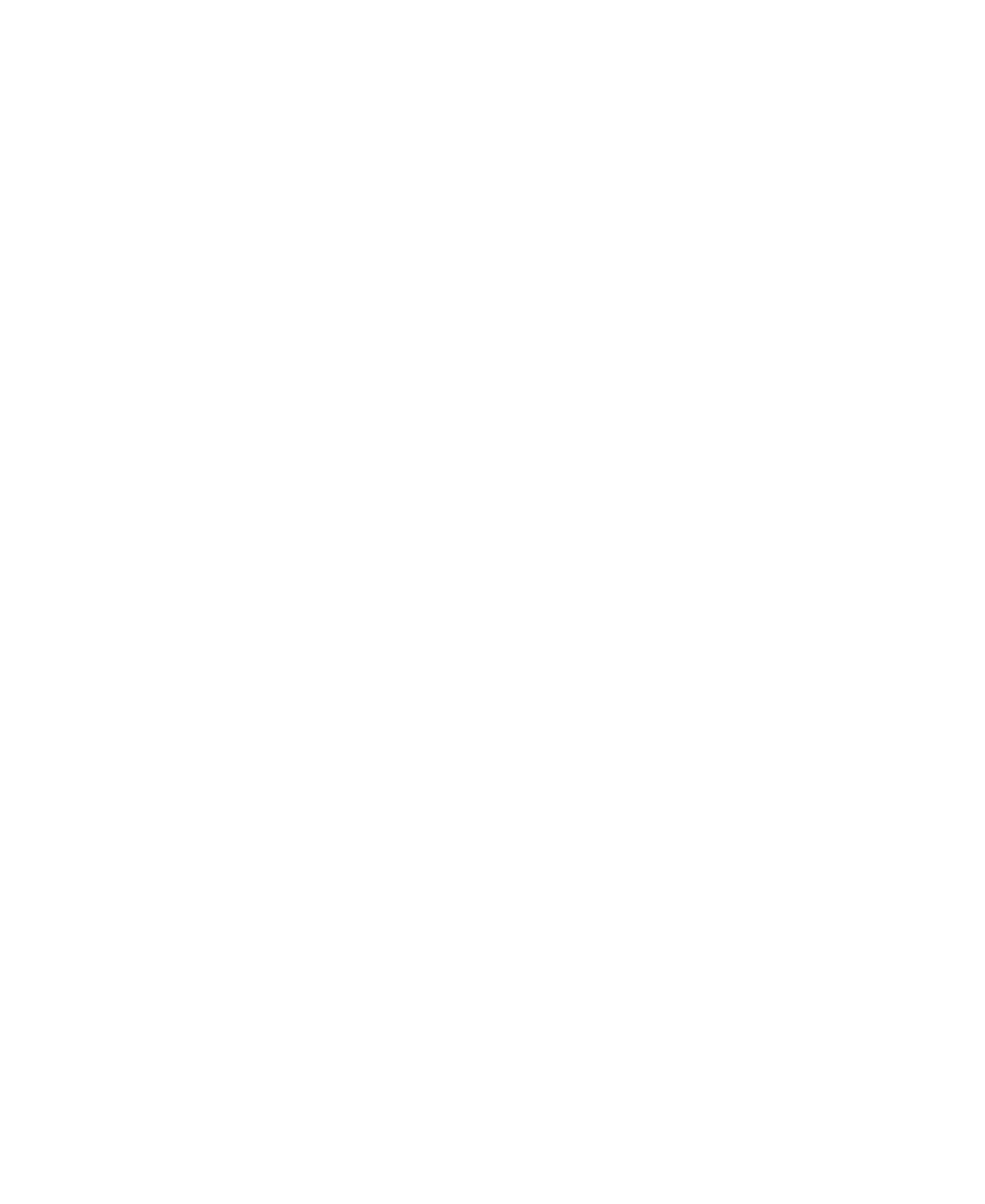 Lateral border