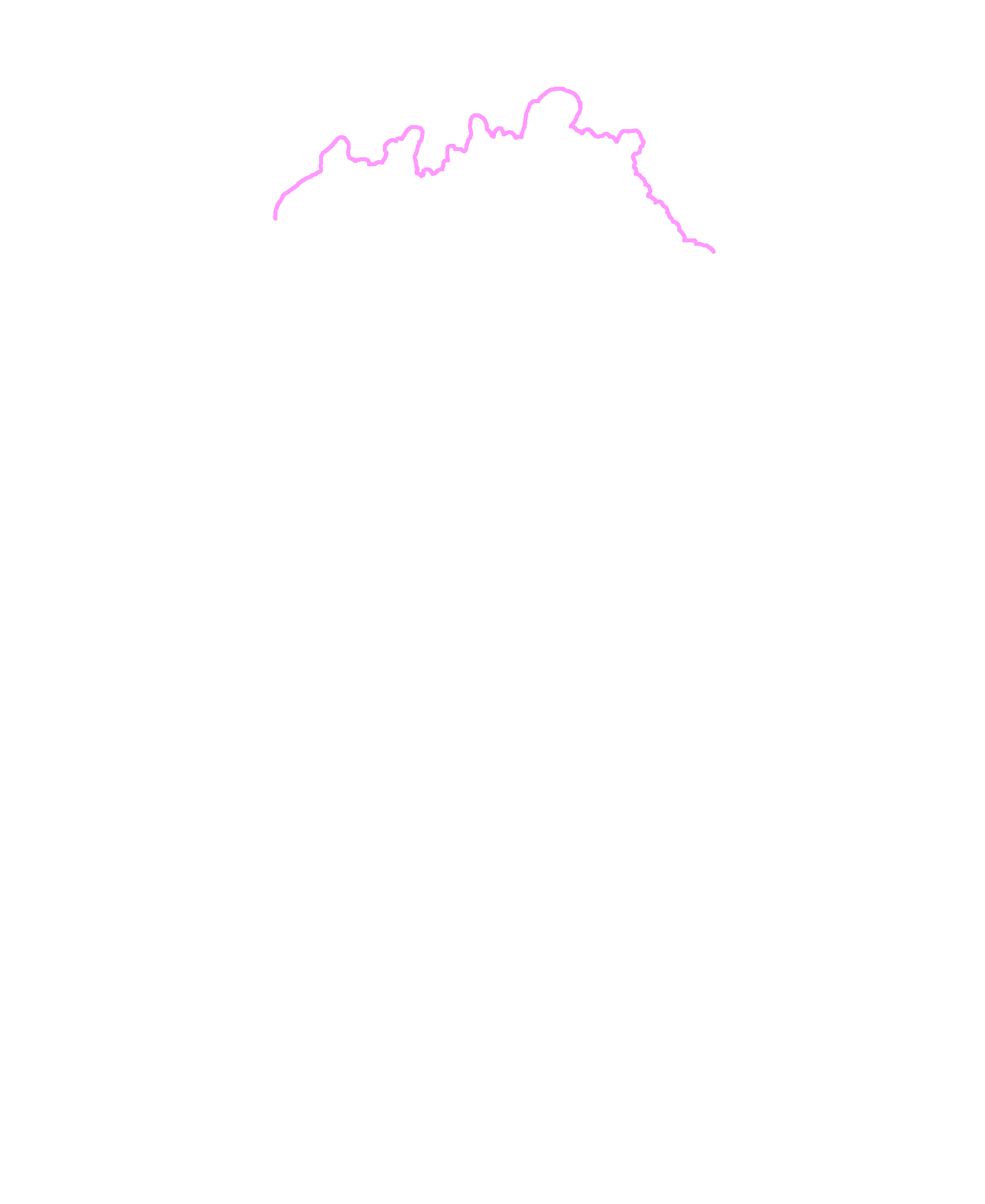 Superior border