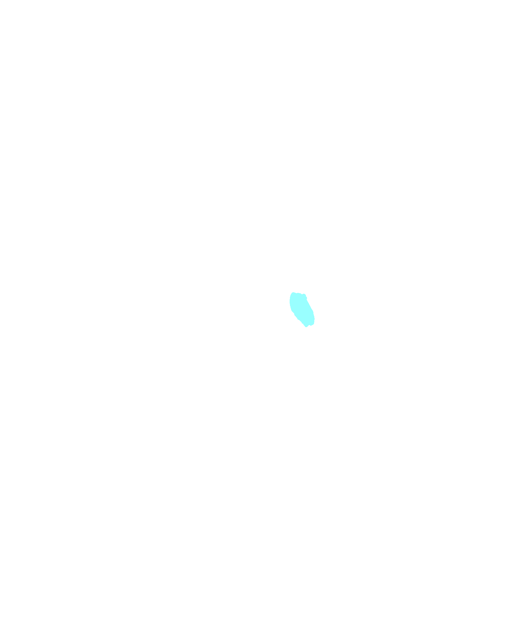 Vascular venous foramen