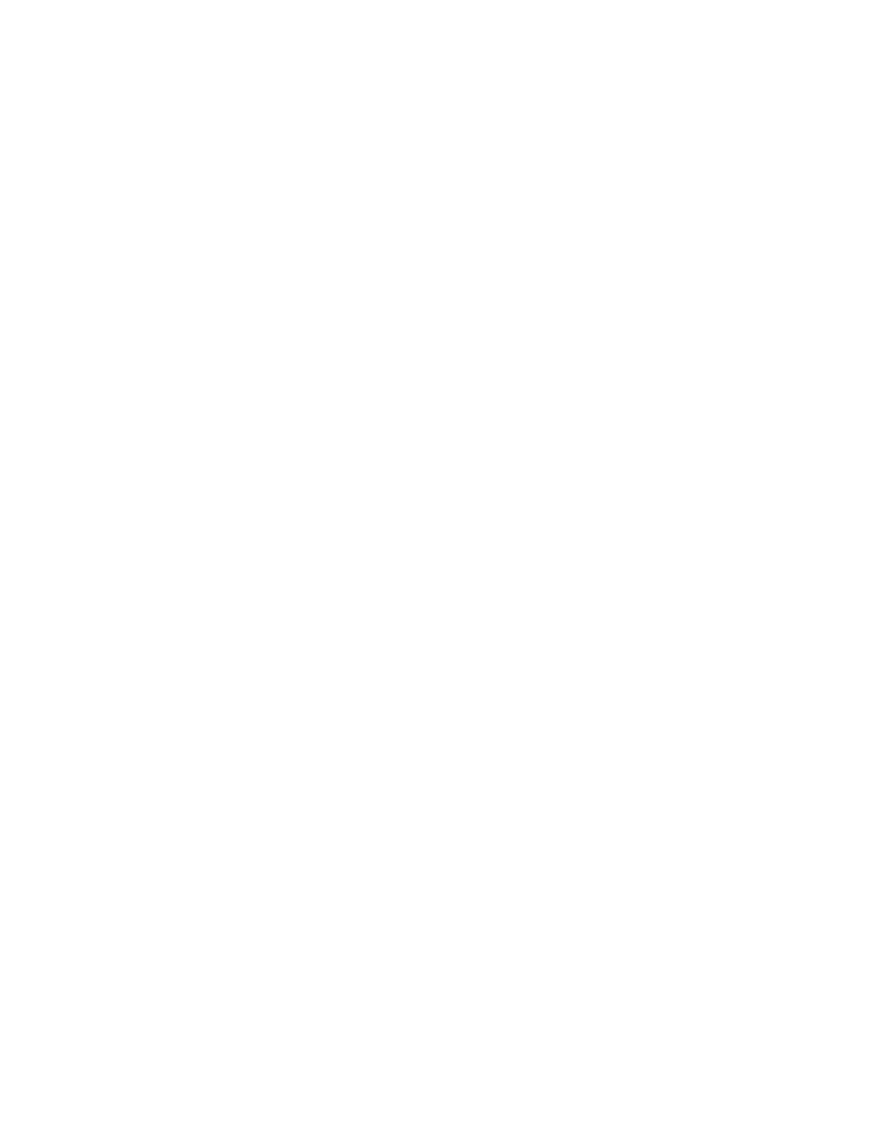 Inferior border