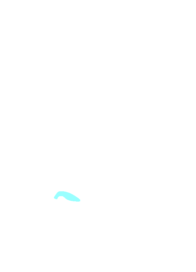 Inferior Petrosal Sinus Grooves