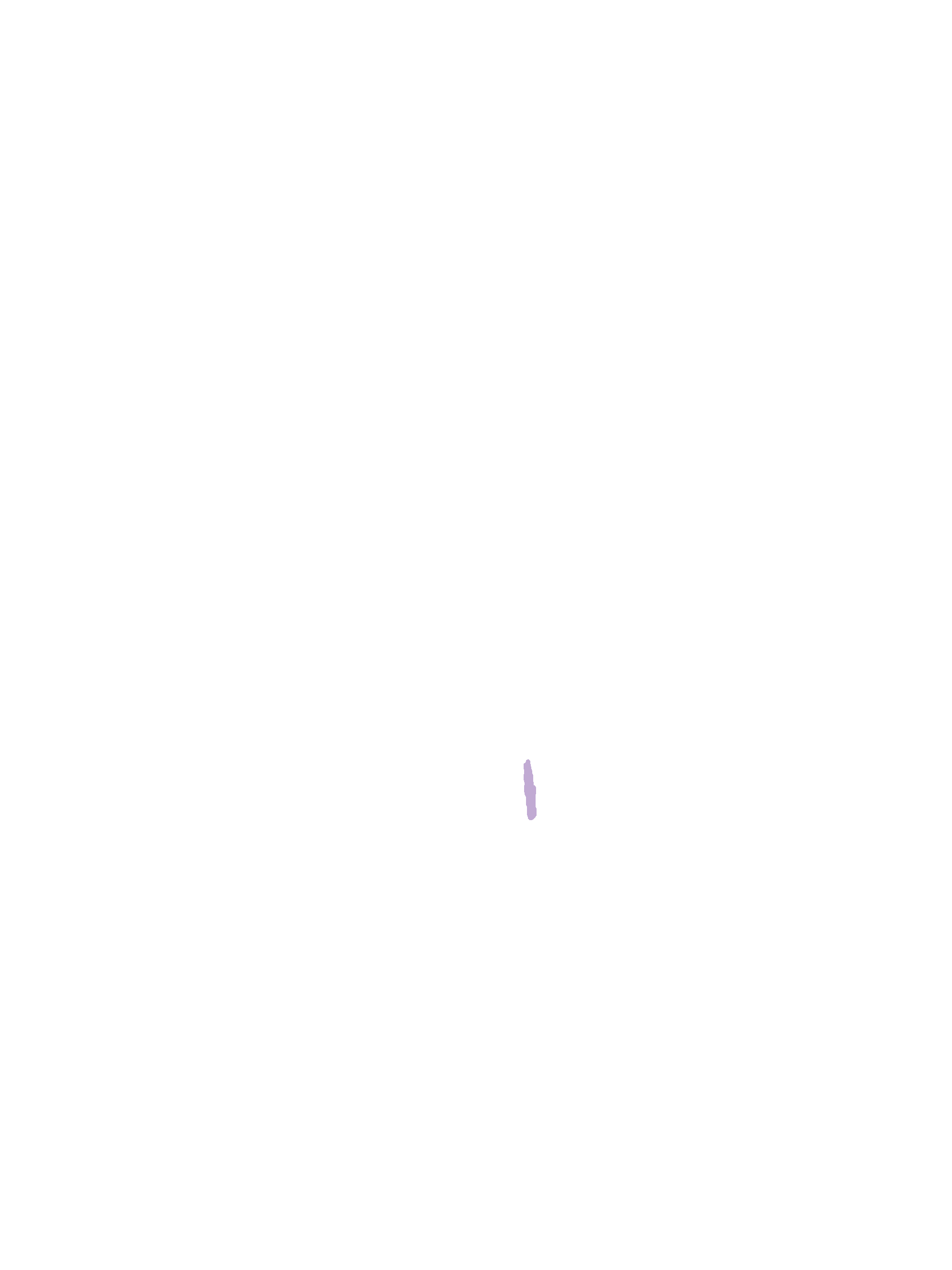 Maxillary Process