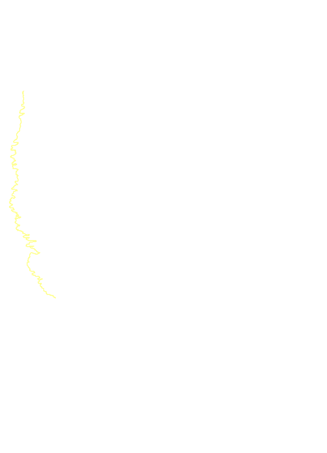 Foramen Magnum