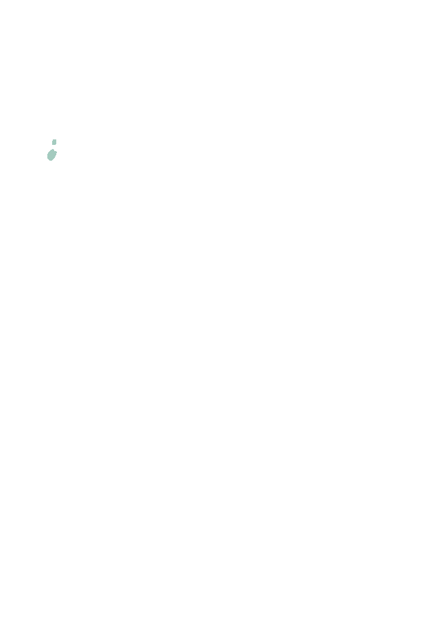 Granular Foveolae