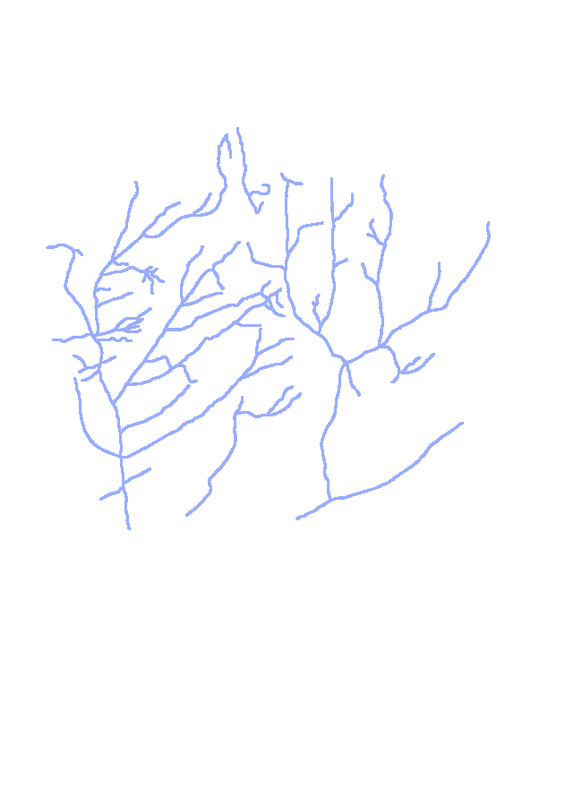 Middle Meningeal Artery Grooves