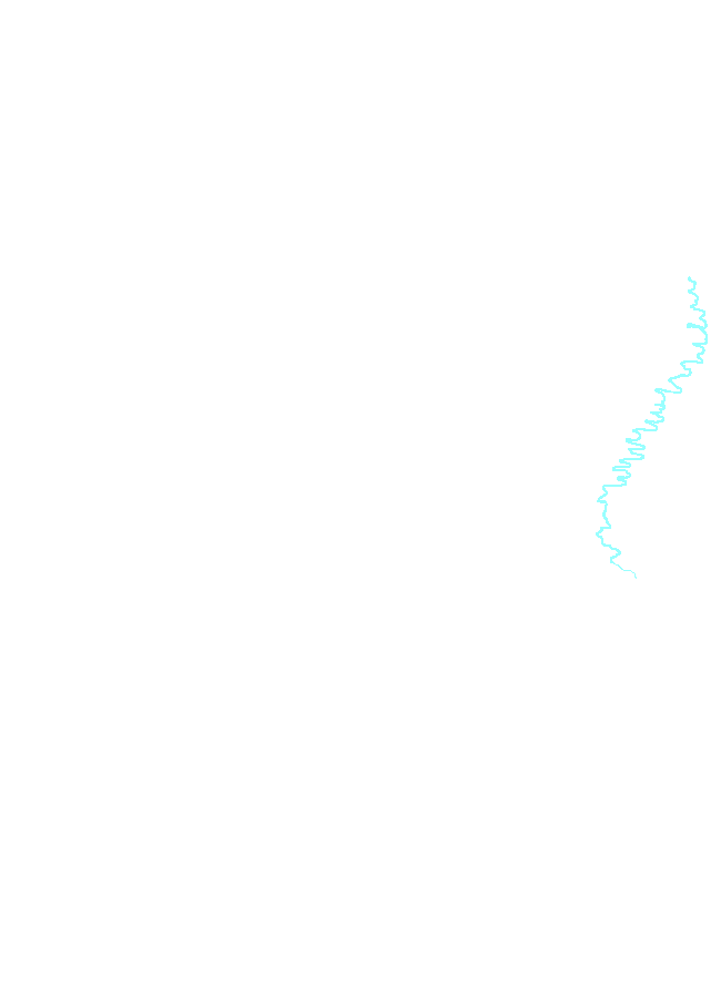 Occipital Border