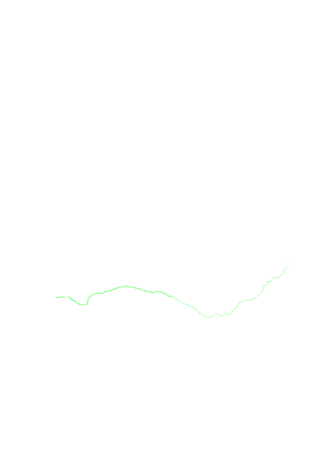 Squamosal Border