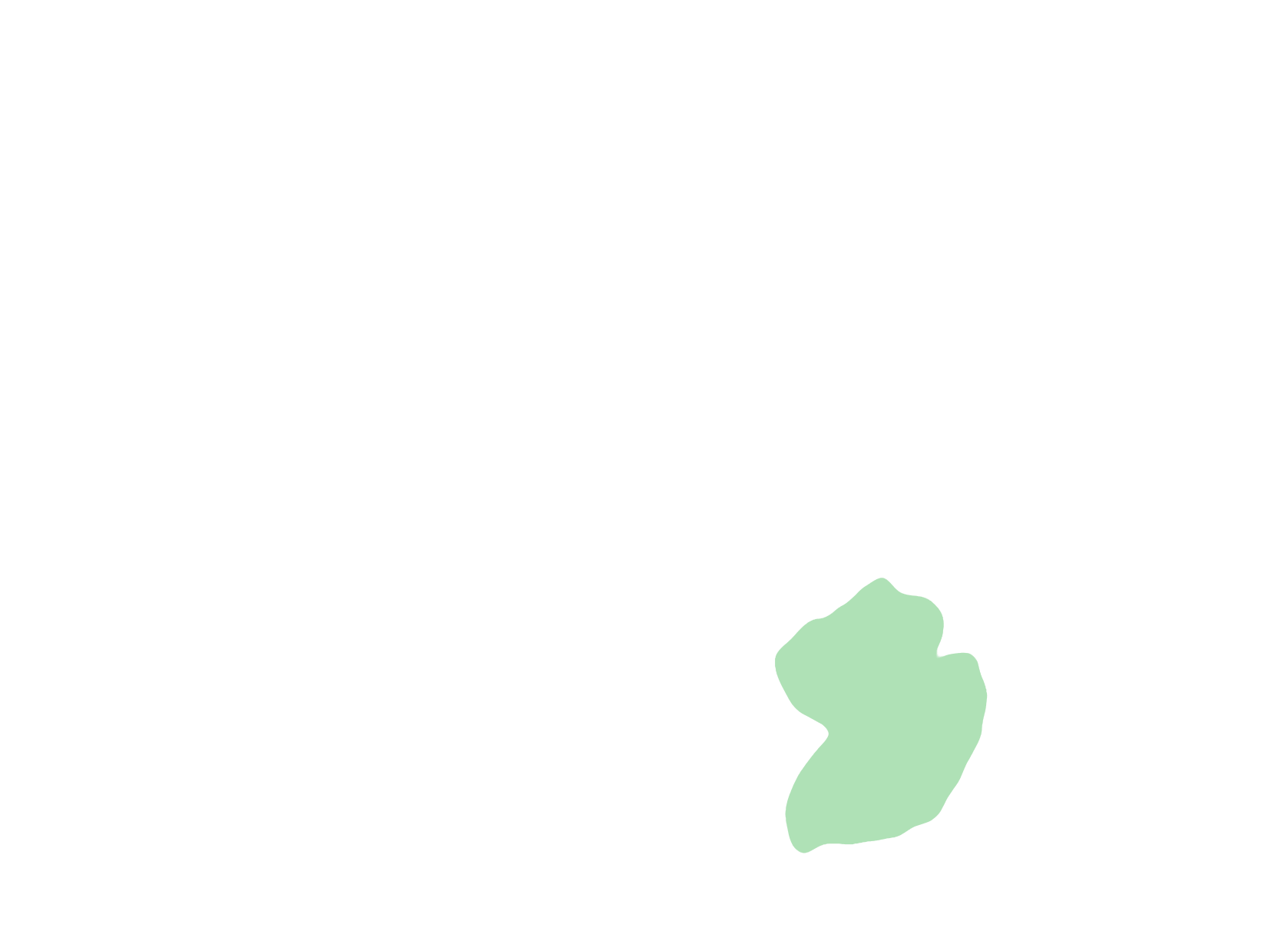 Cerebellum