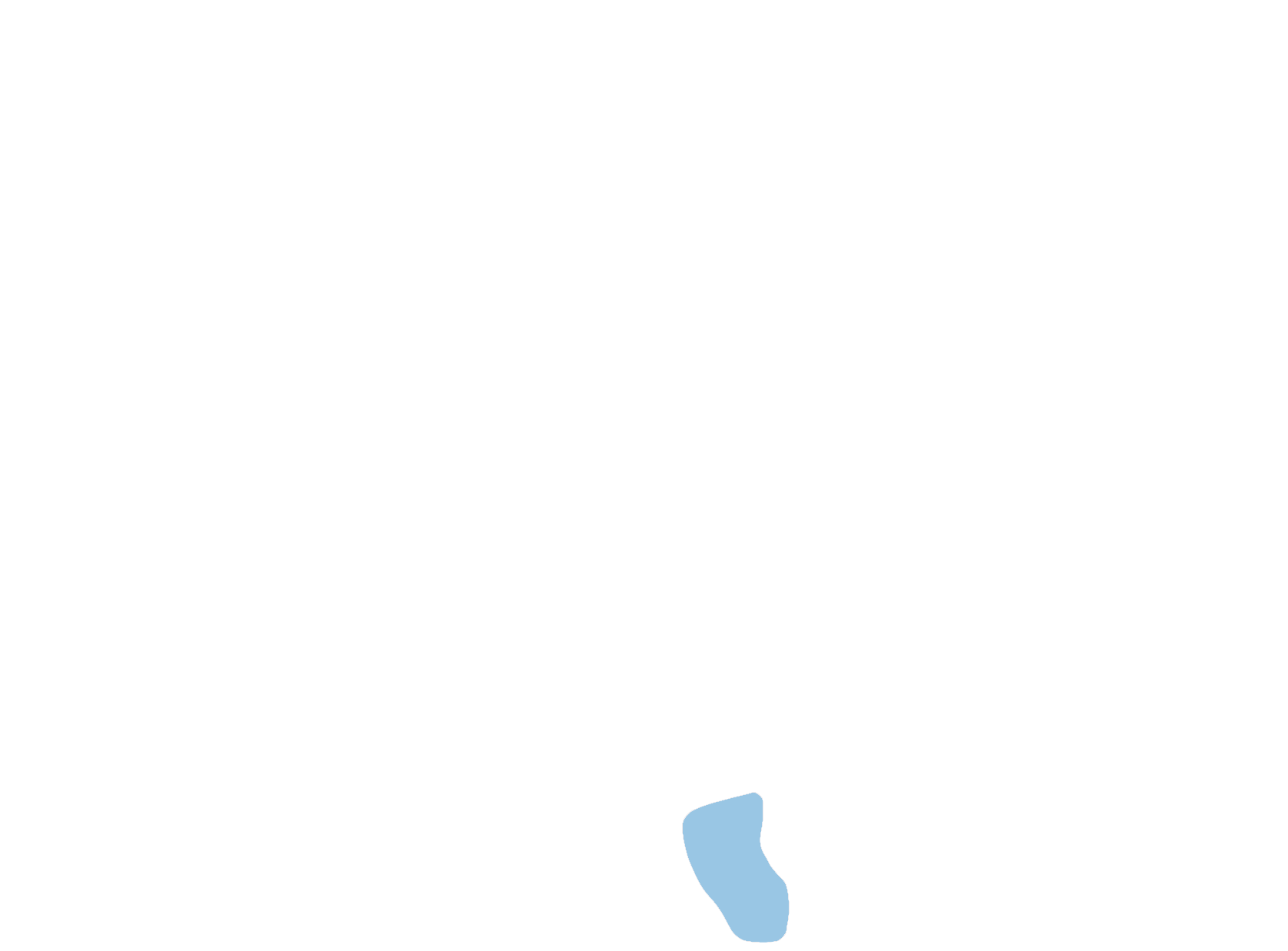 Medulla