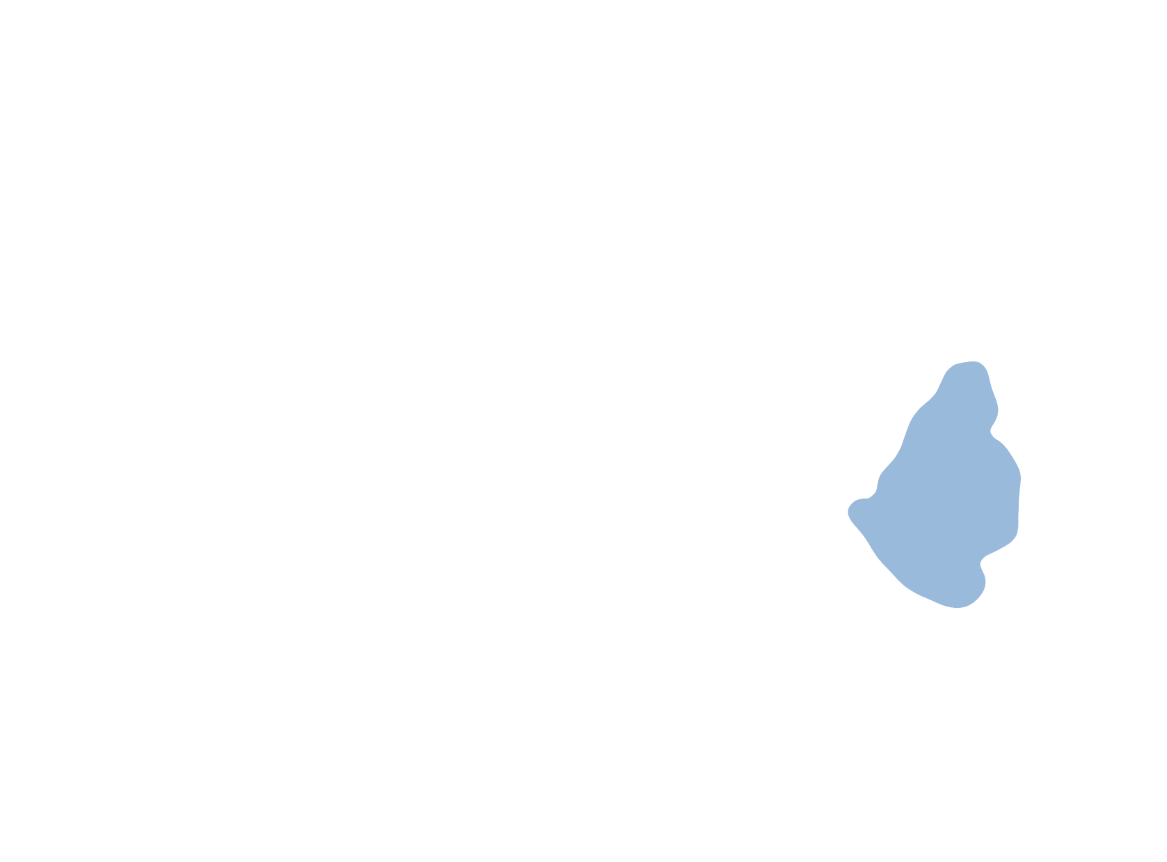 Occipital lobe