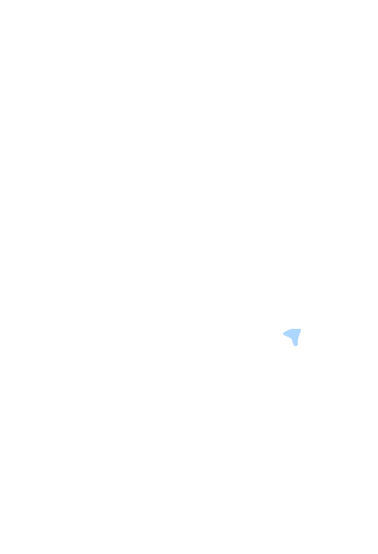 Anterior nasal spine