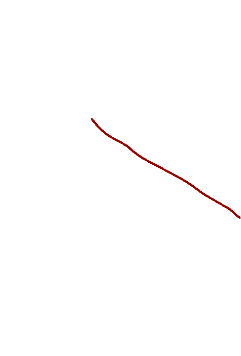 Groove for the superior petrosal sinus