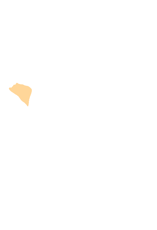 Sphenoid bone