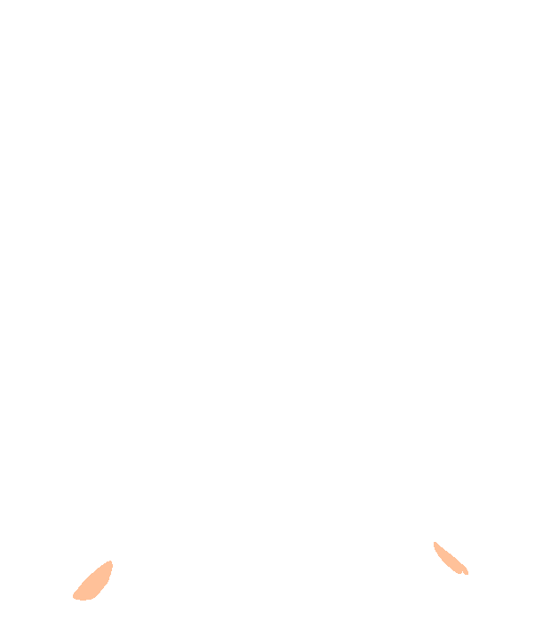 Foramen ovale